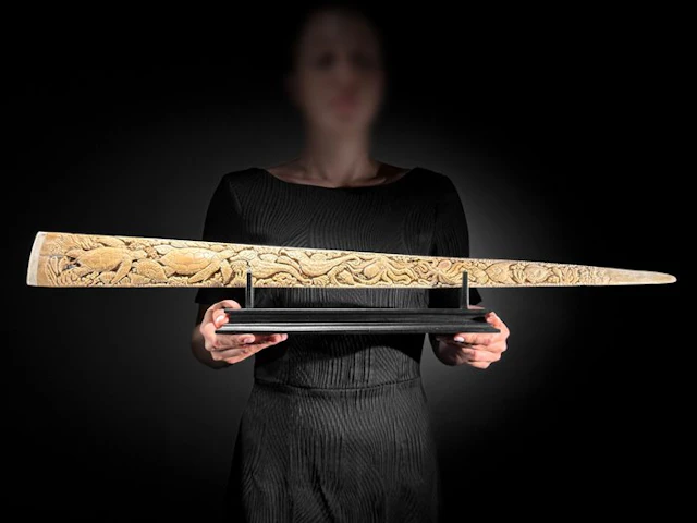 NO RESERVE PRICE - A Large Swordfish Rostrum mounted on...