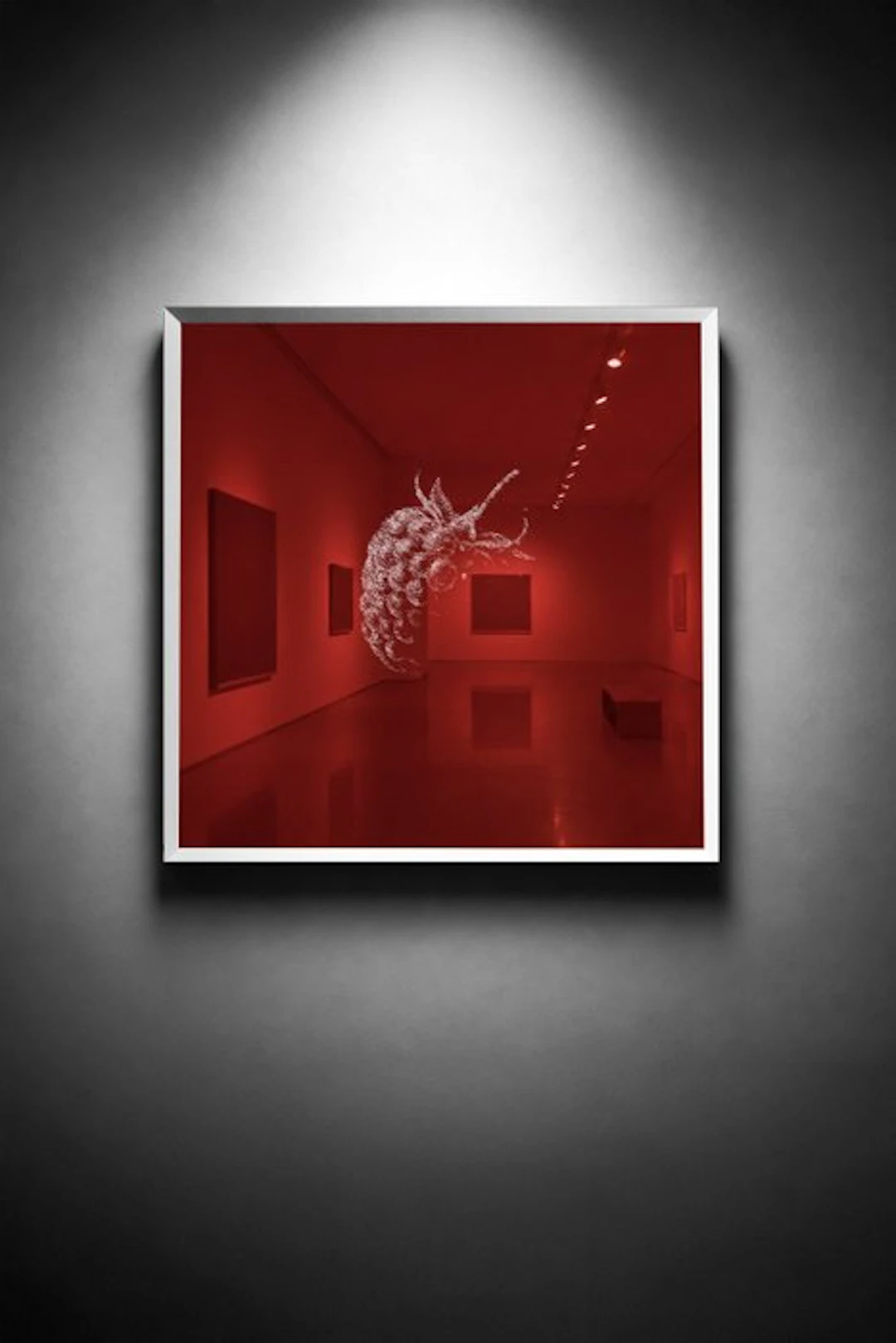 Tijs Dragtsma (1992) - A Cluster Held in Red