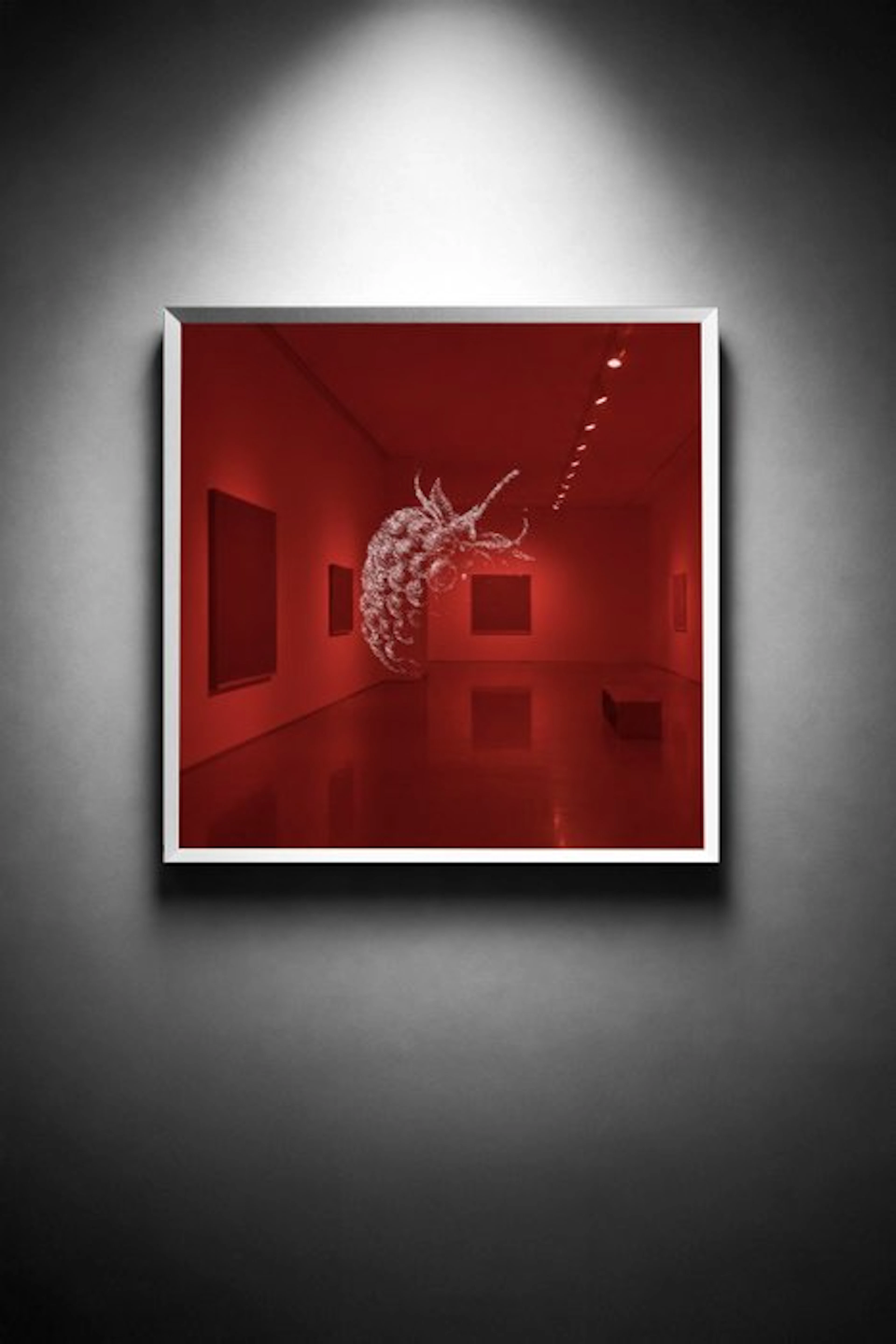 Tijs Dragtsma (1992) - A Cluster Held in Red