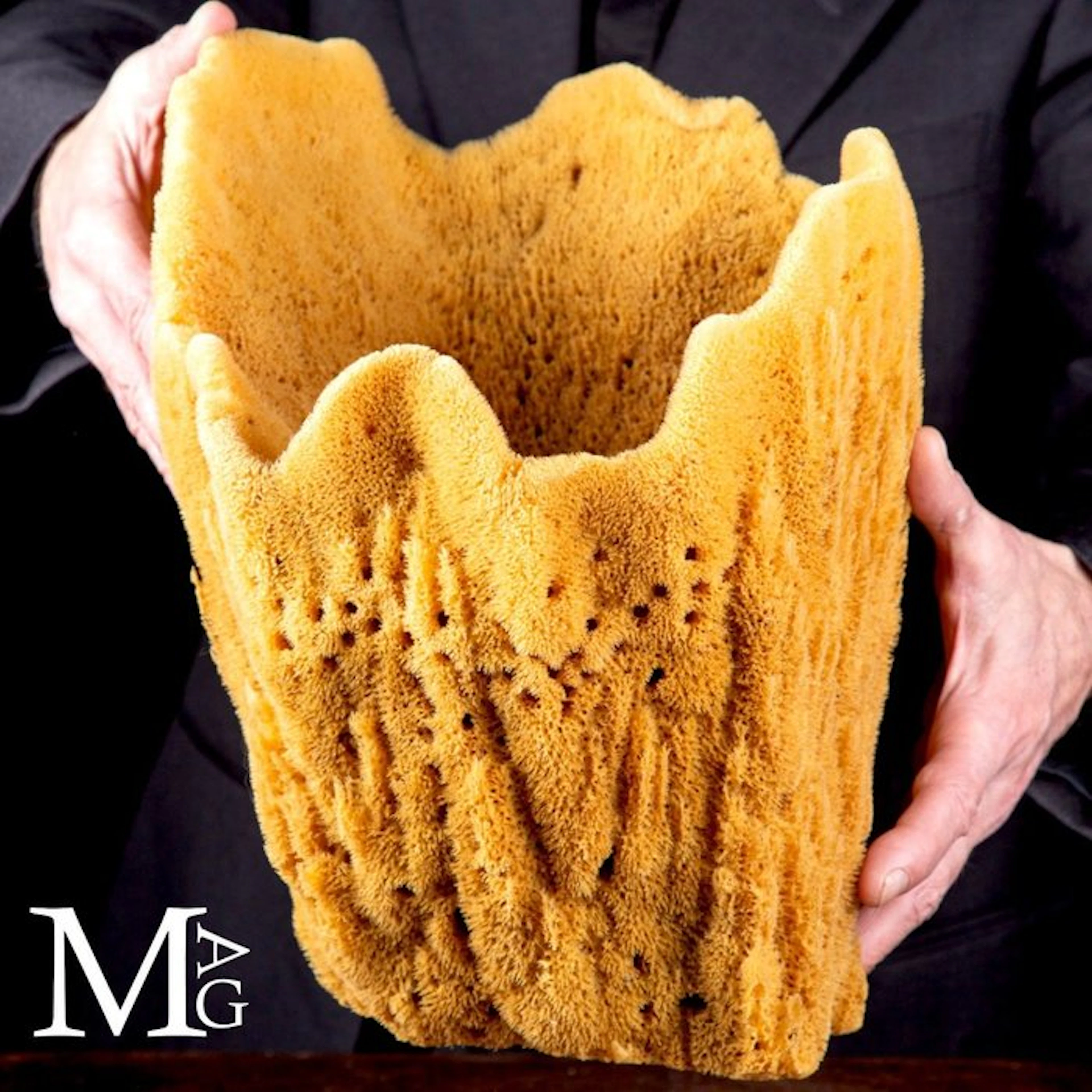 Natural Sponges from the Mediterranean - Natural Sea...