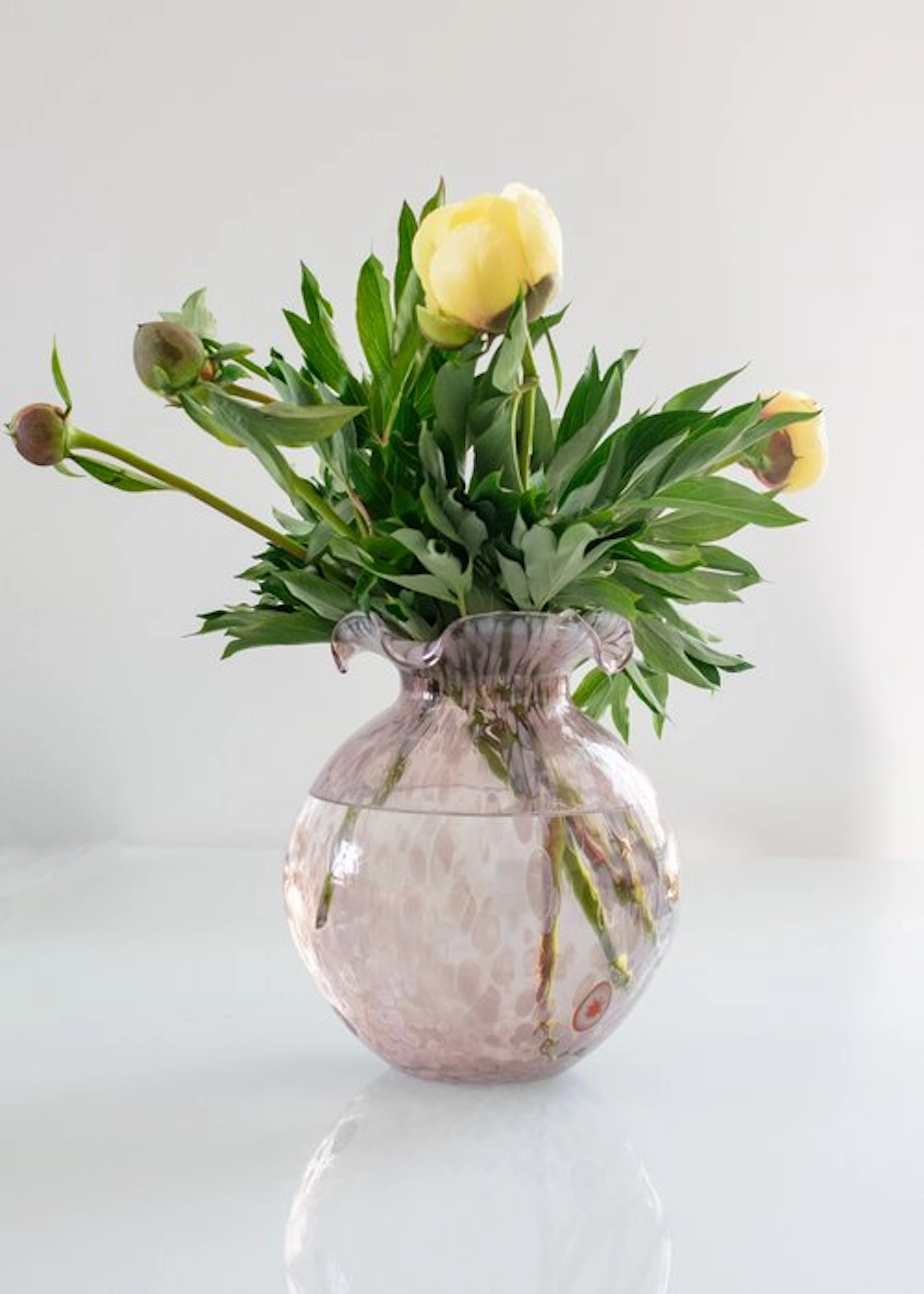 Ribes the Art of Glass - Mariana Iskra - Vase - Murano...