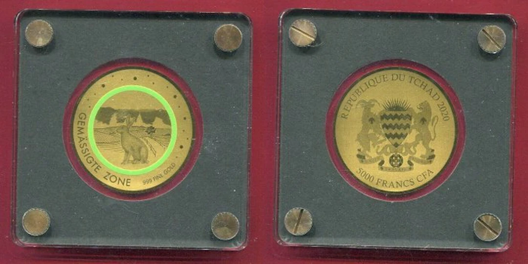Chad. 5000 Francs 2020 - Rabbit, Temperate Zone (No reserve price)