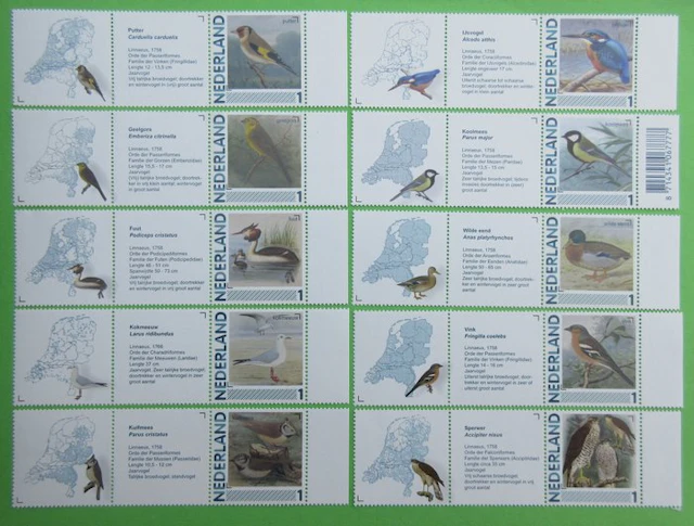 Netherlands 2011 - Collection of 72 birds including sound...