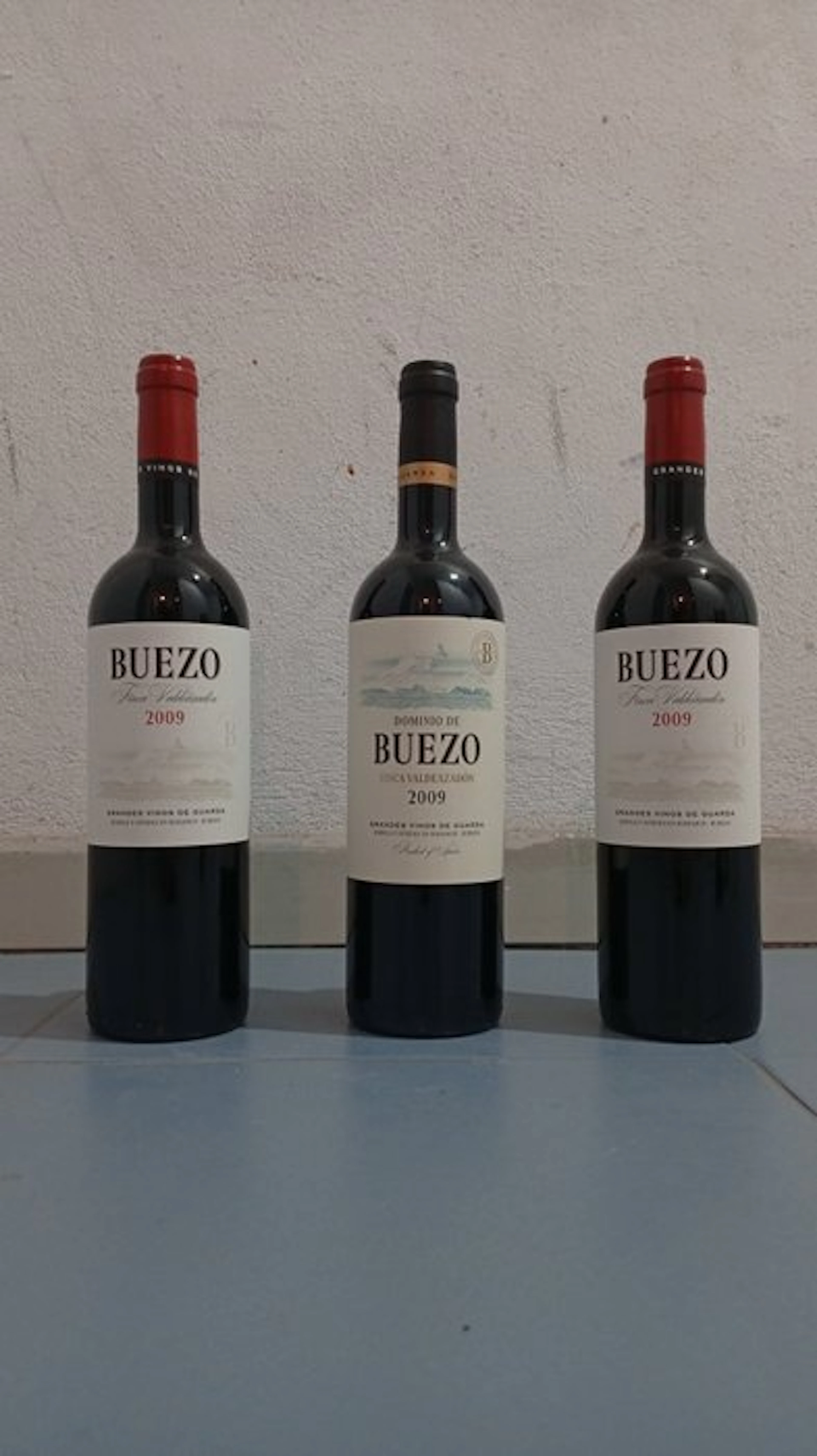 2009 Buezo Finca Valdeazadón (2); Dominio de Buezo (1)...