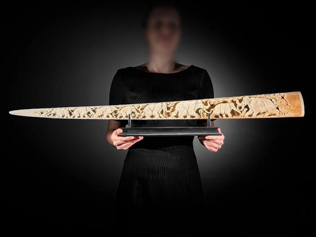 NO RESERVE PRICE - Extra Large Hand-Carved Swordfish Tusk...