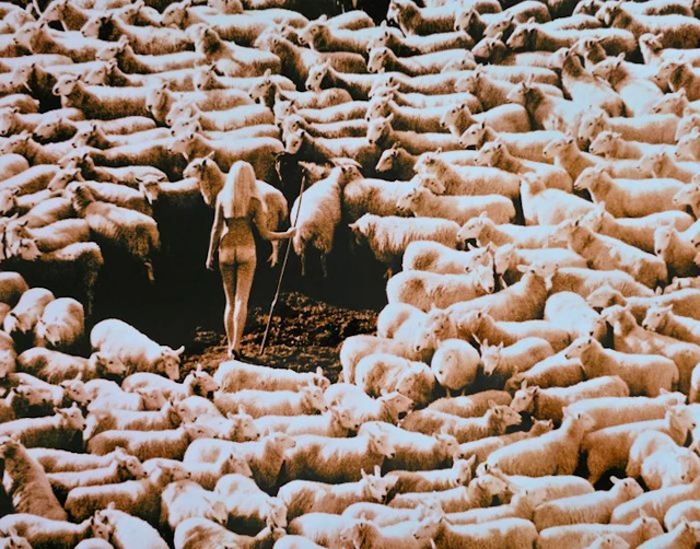 Michael Joseph (1941-) - Nude in Sheep