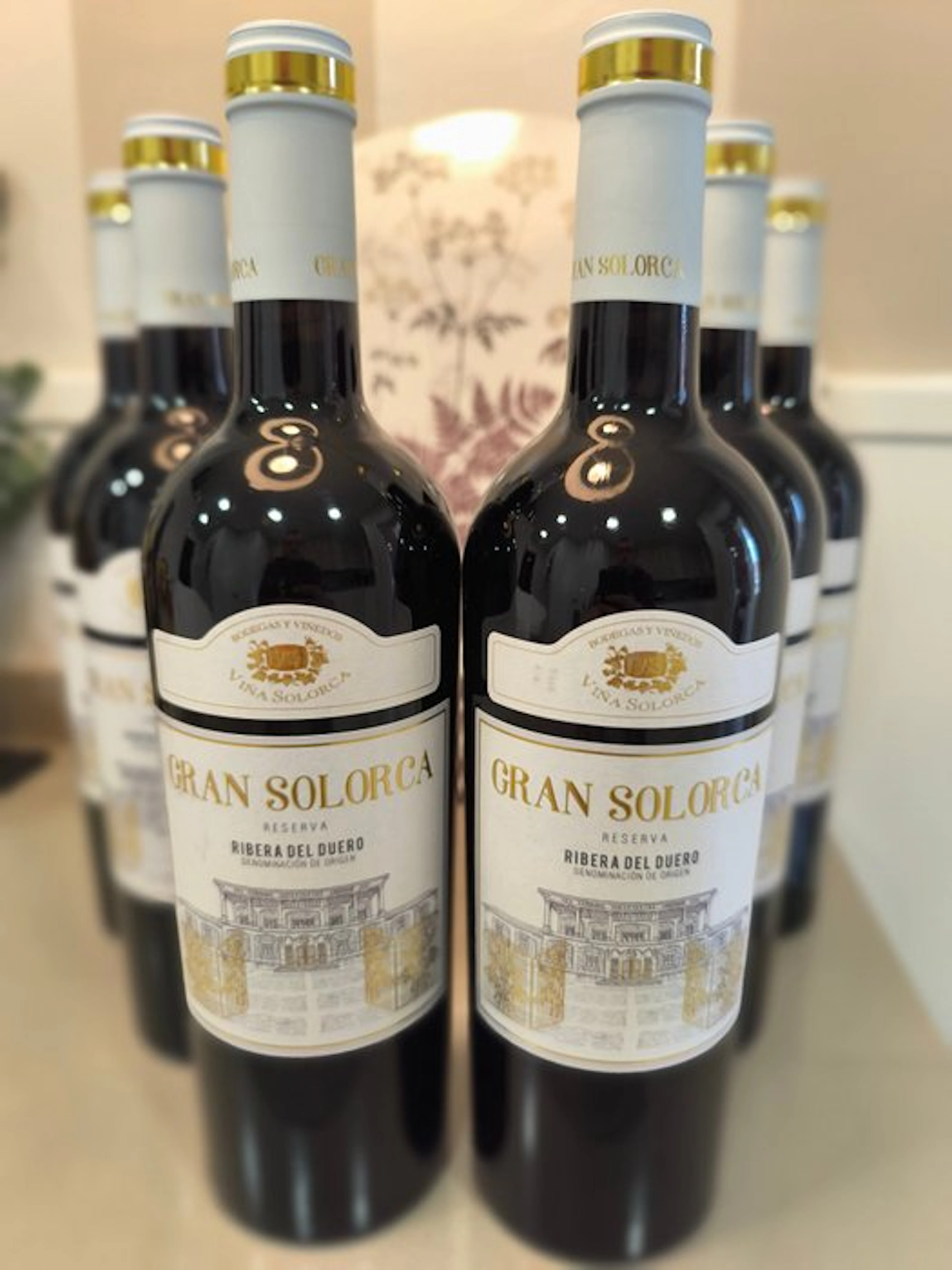 2021 Viña Solorca, Gran Solorca - Ribera del Duero Reserva - 6 Bottles (0.75L)
