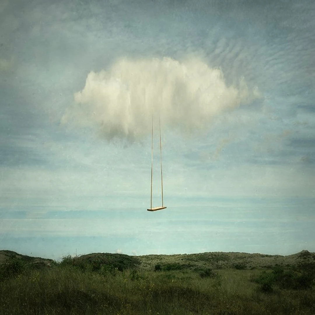 Tessa Posthuma de Boer - The swing