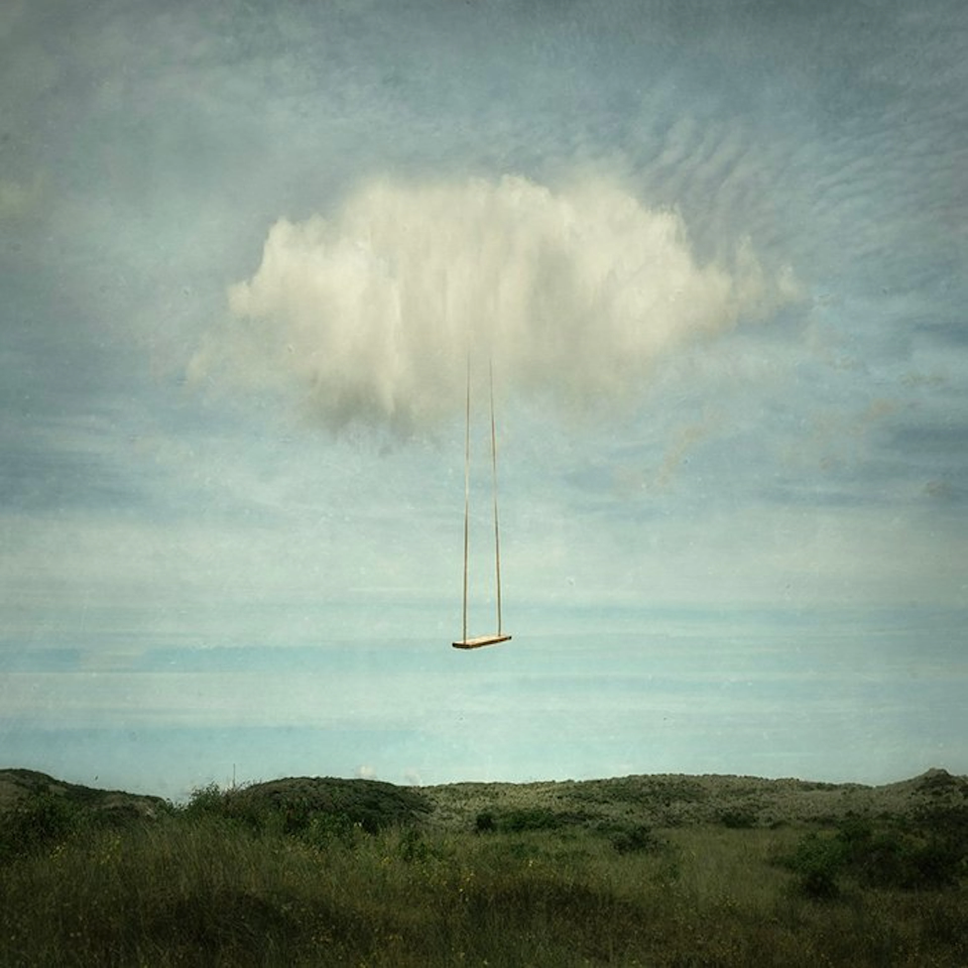 Tessa Posthuma de Boer - The swing