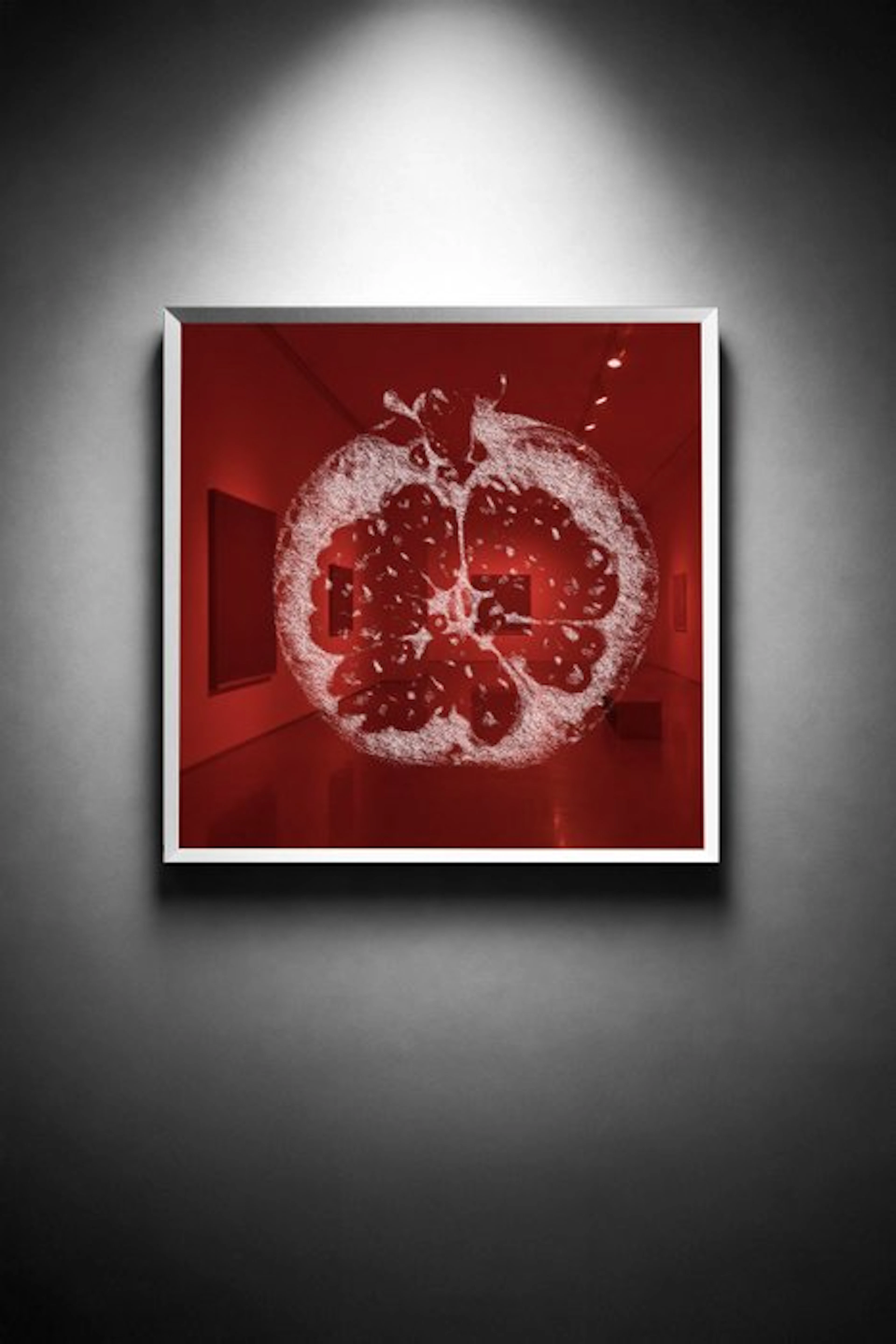 Tijs Dragtsma (1992) - A Crown Split Into Embers