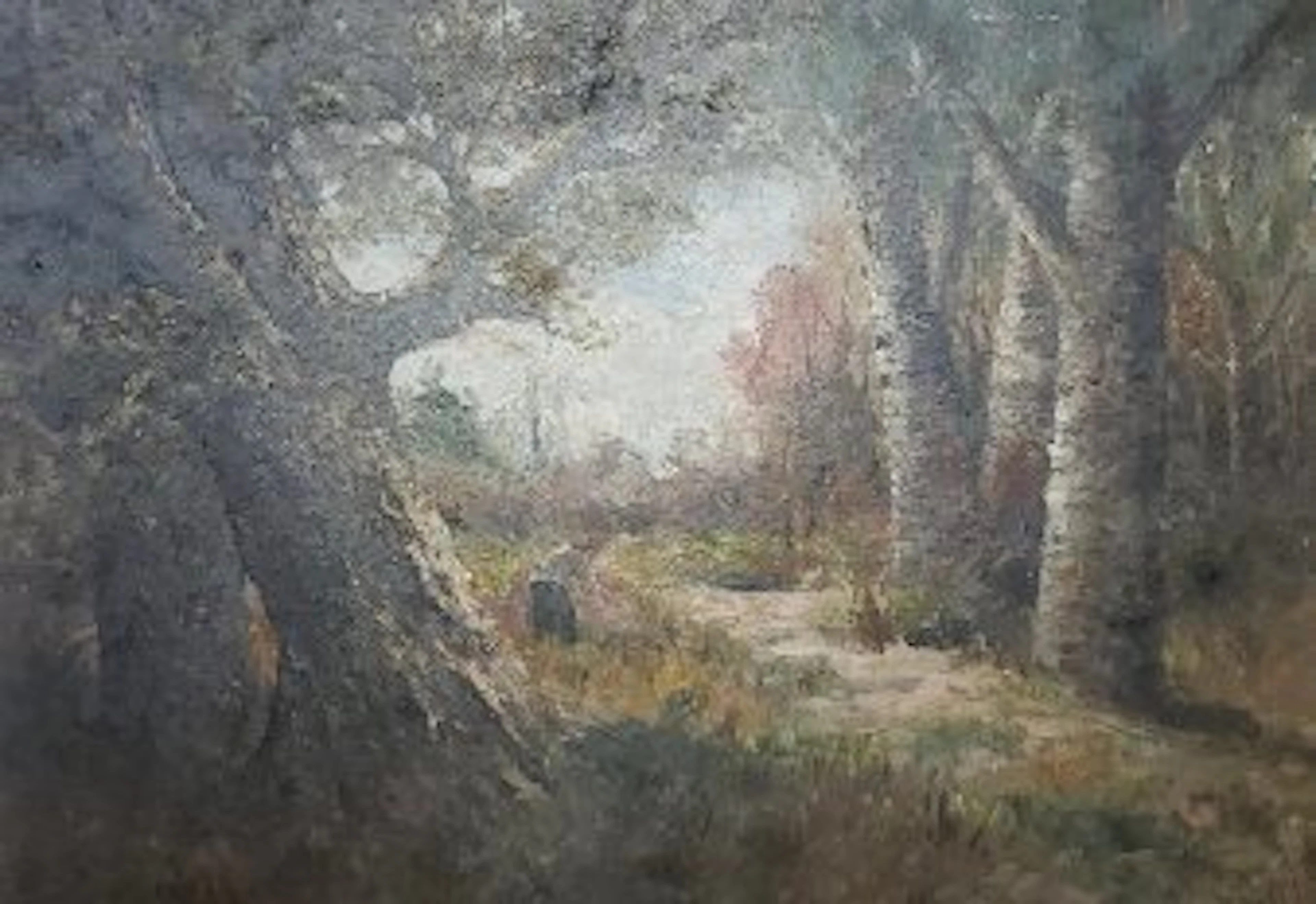 Ferney (XX) - Forêt de Fontainebleau