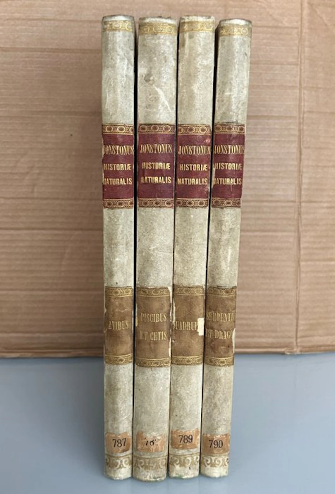 Johnstonus; Merian - Historiae Naturalis - 1657