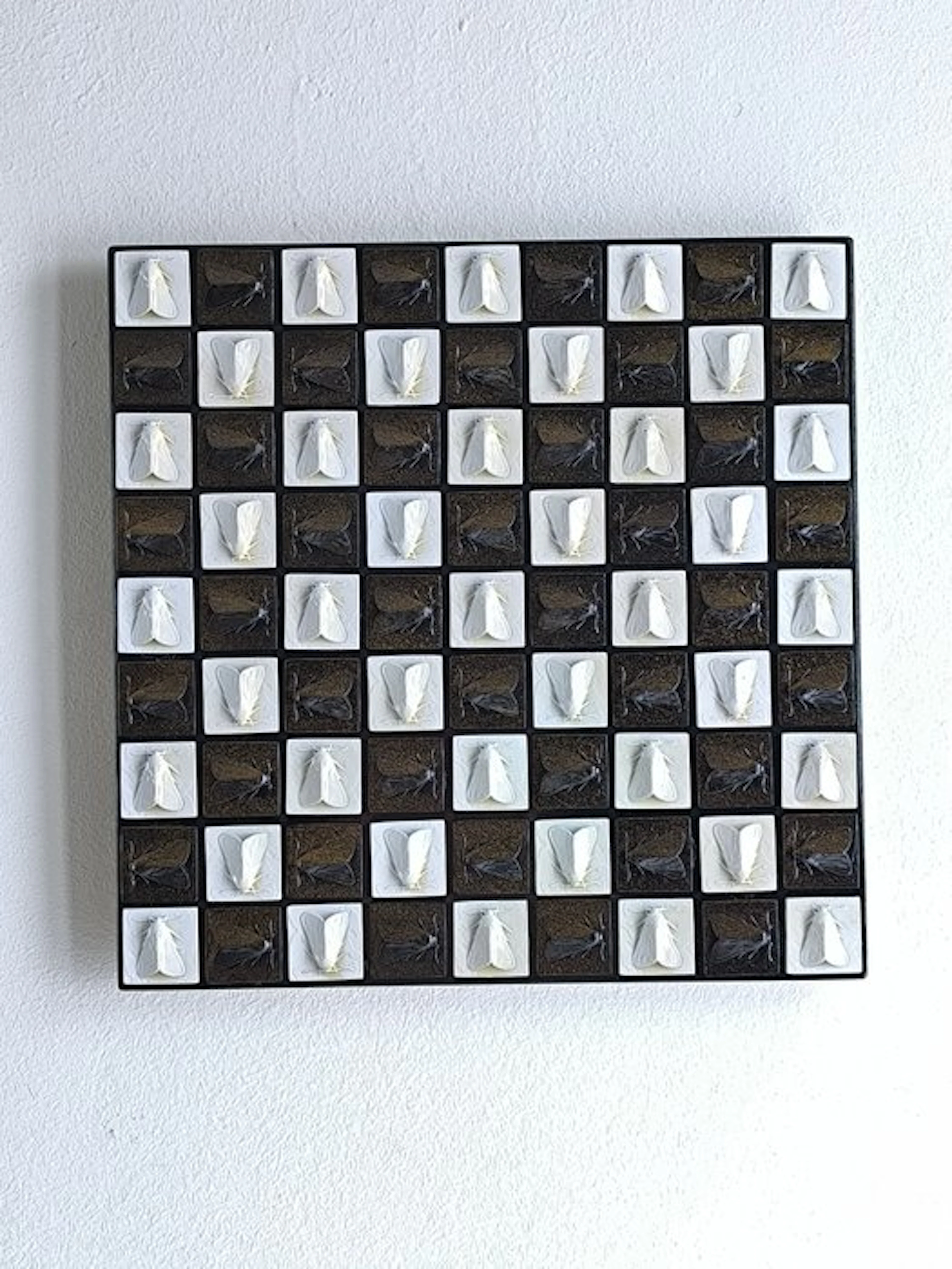 Federico Alibrio - Moths - Vertical and Horizontal