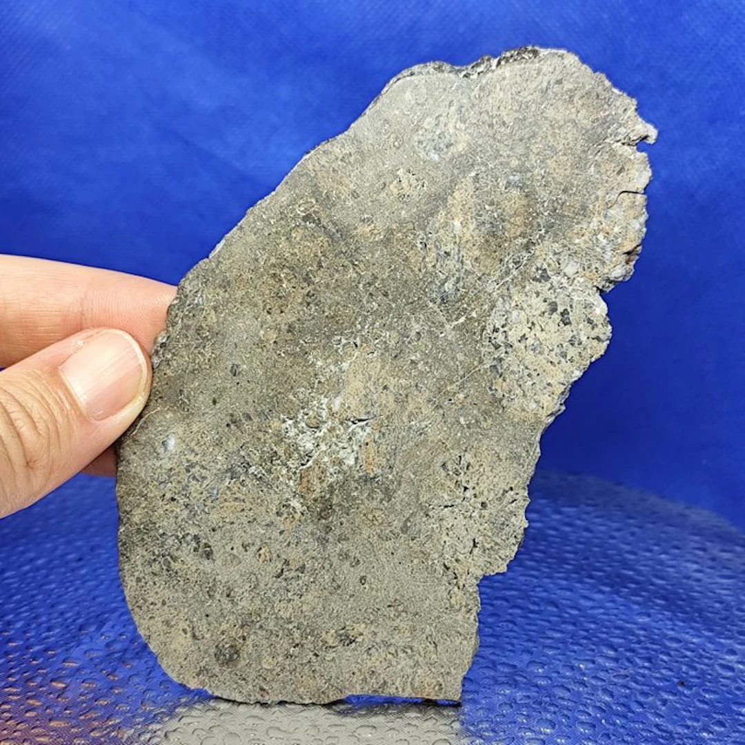 EUCRITE METEORITE Slice