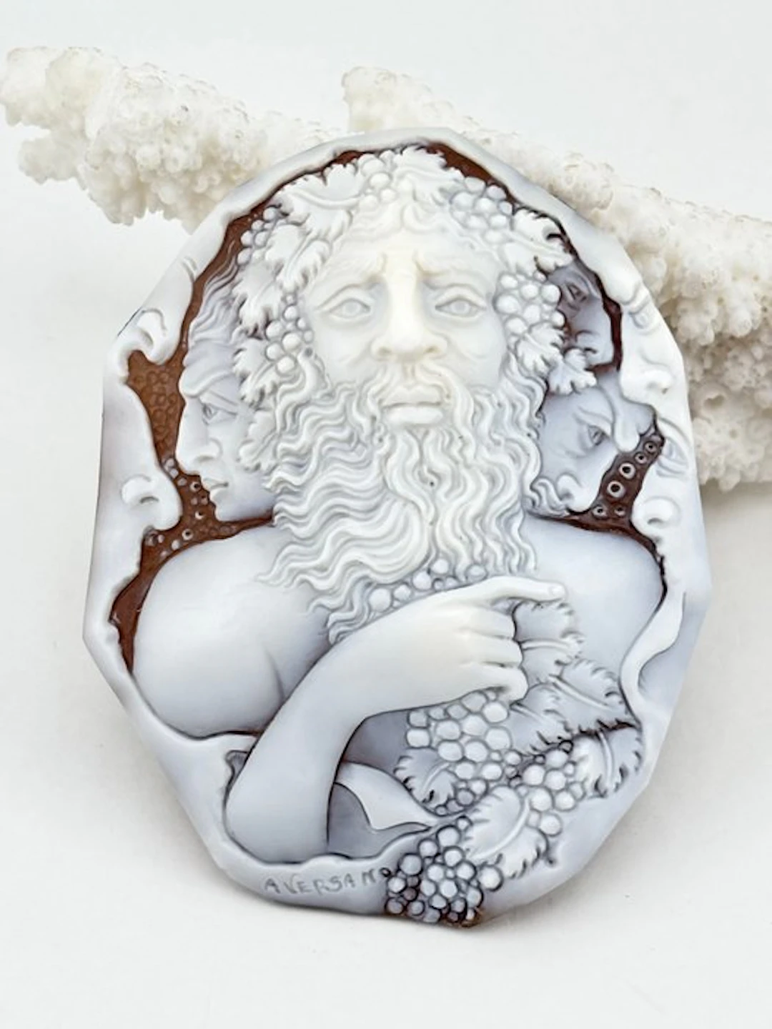 Cassis madagascariensis - Cameo - Hand-engraved cameo