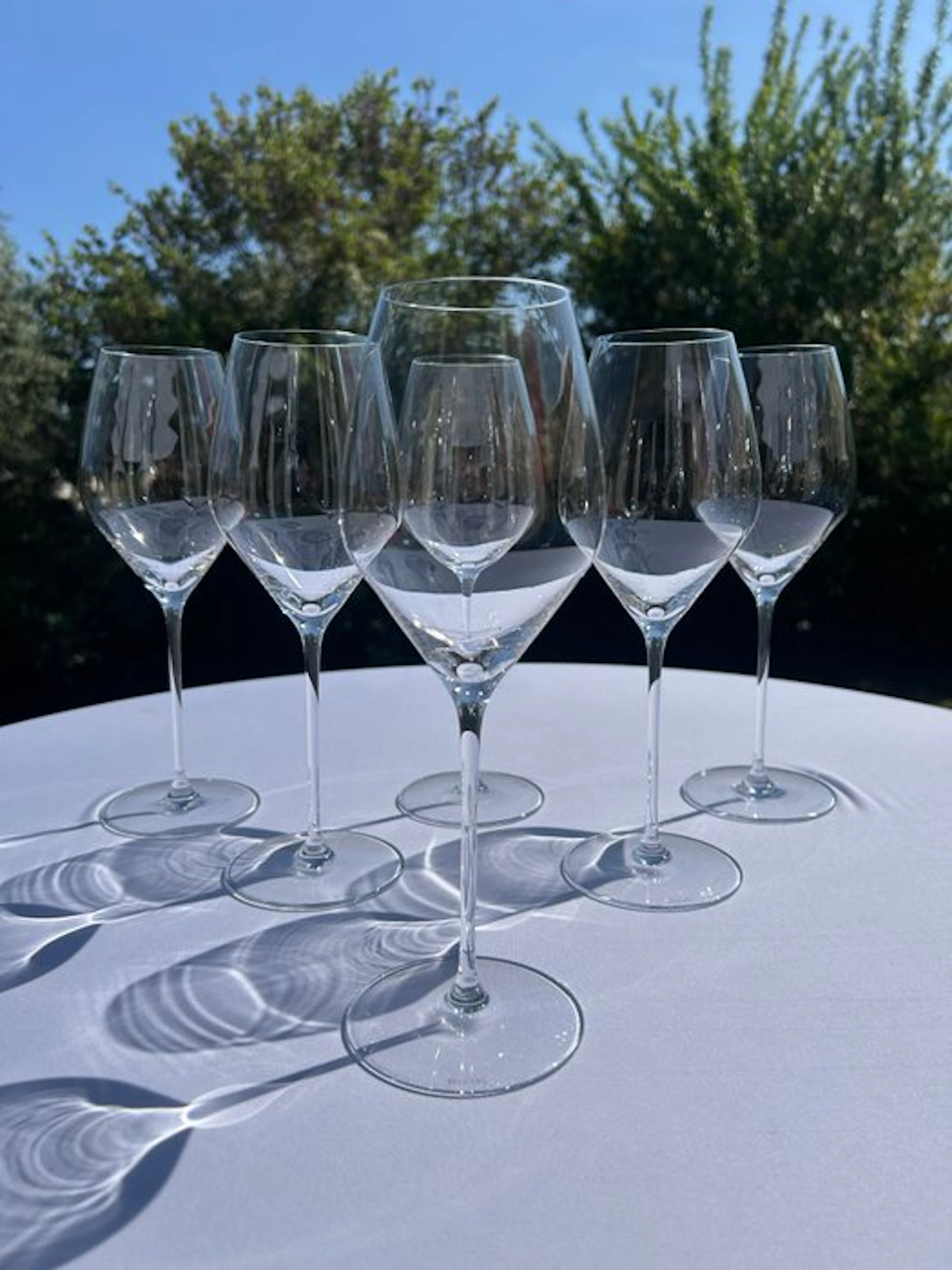 Champagne glass (6) - Dom Pérignon by Riedel Wine Company - Crystal