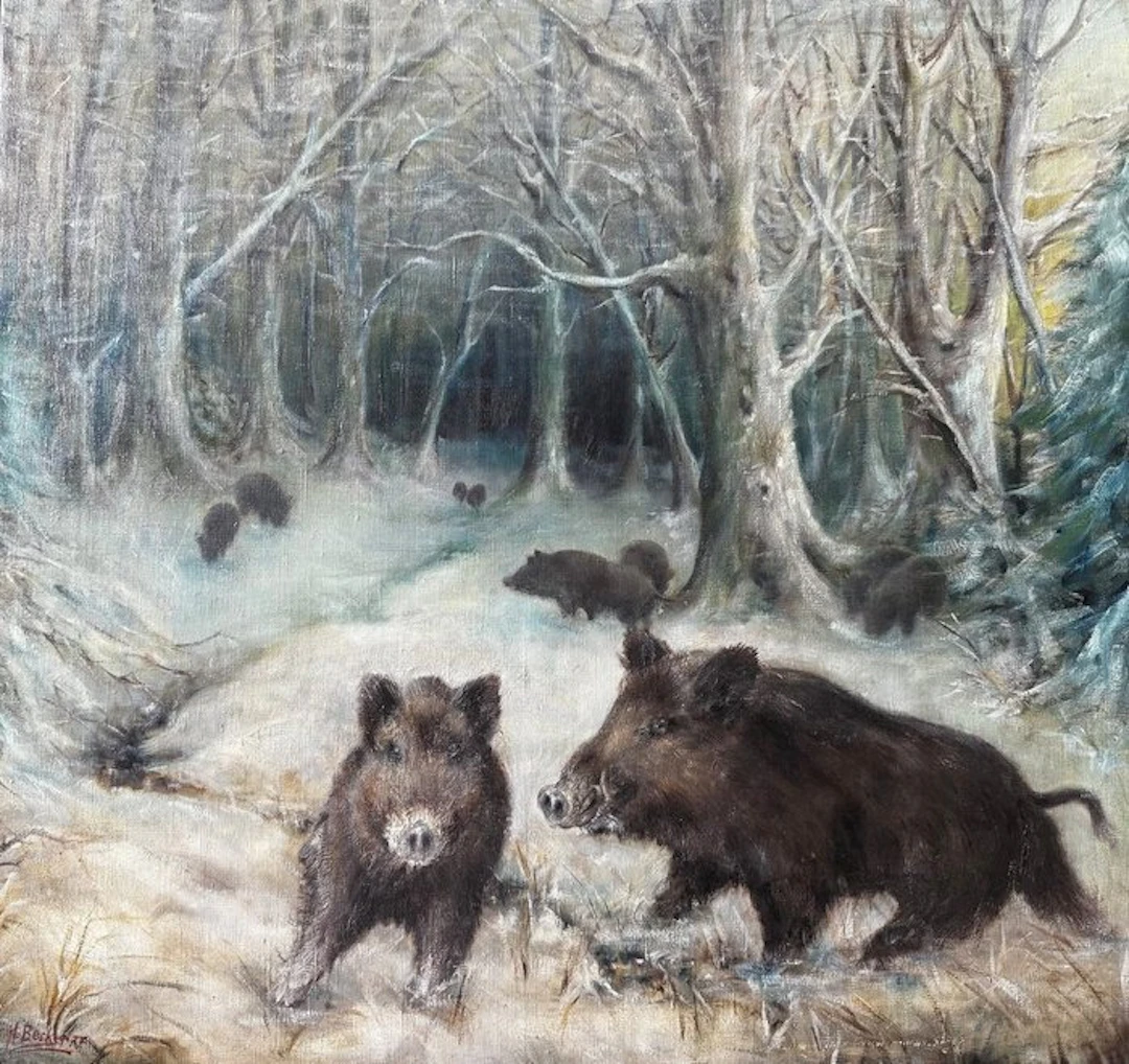 H. Becker (XX) - Wildschweinrotte im verschneiten Winterwald