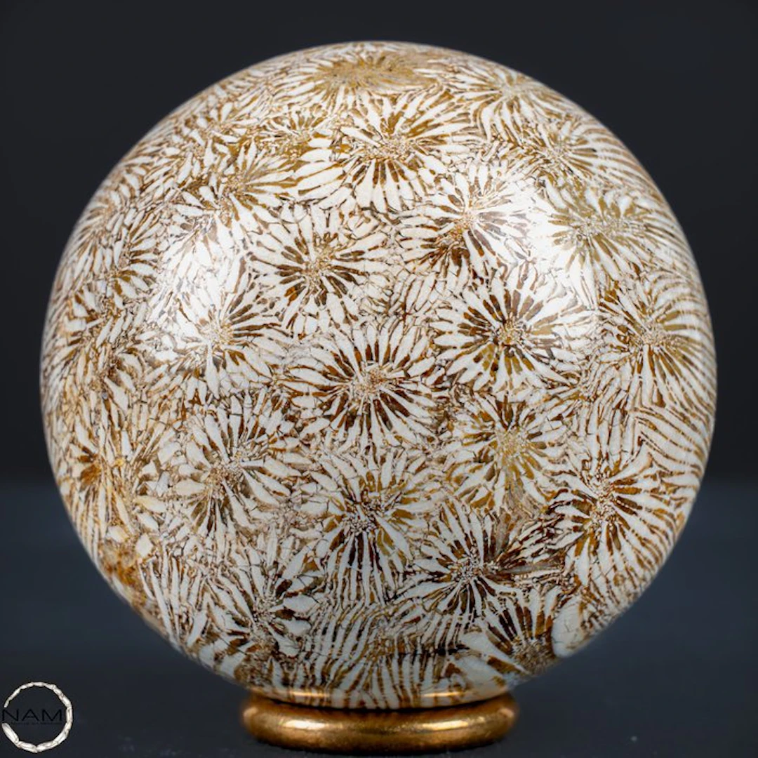 Natural fossil coral sphere from Australia – primeval...