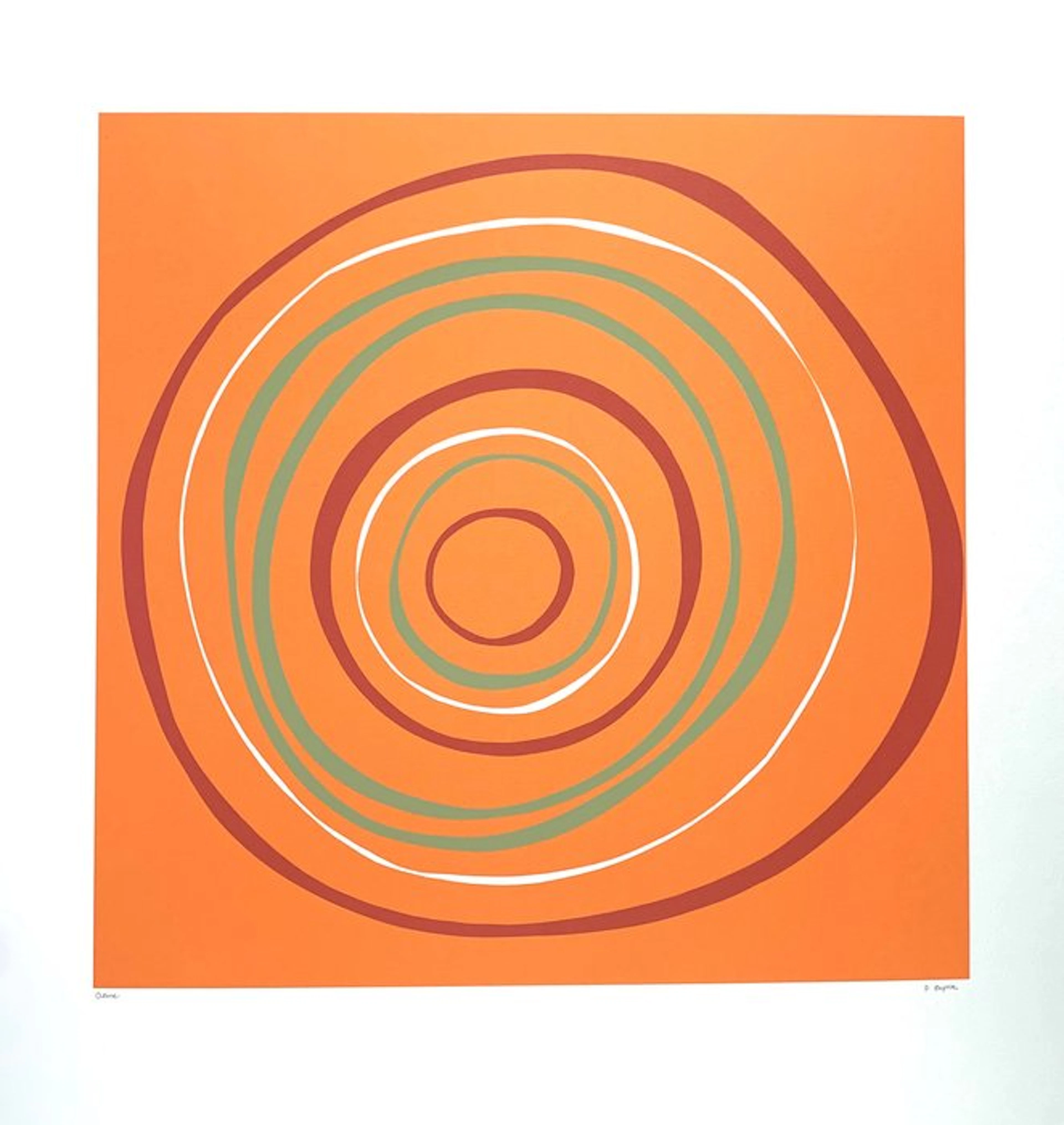 Denise Duplock - Ozone - Screenprint / Siebdruck - handsigned / titled