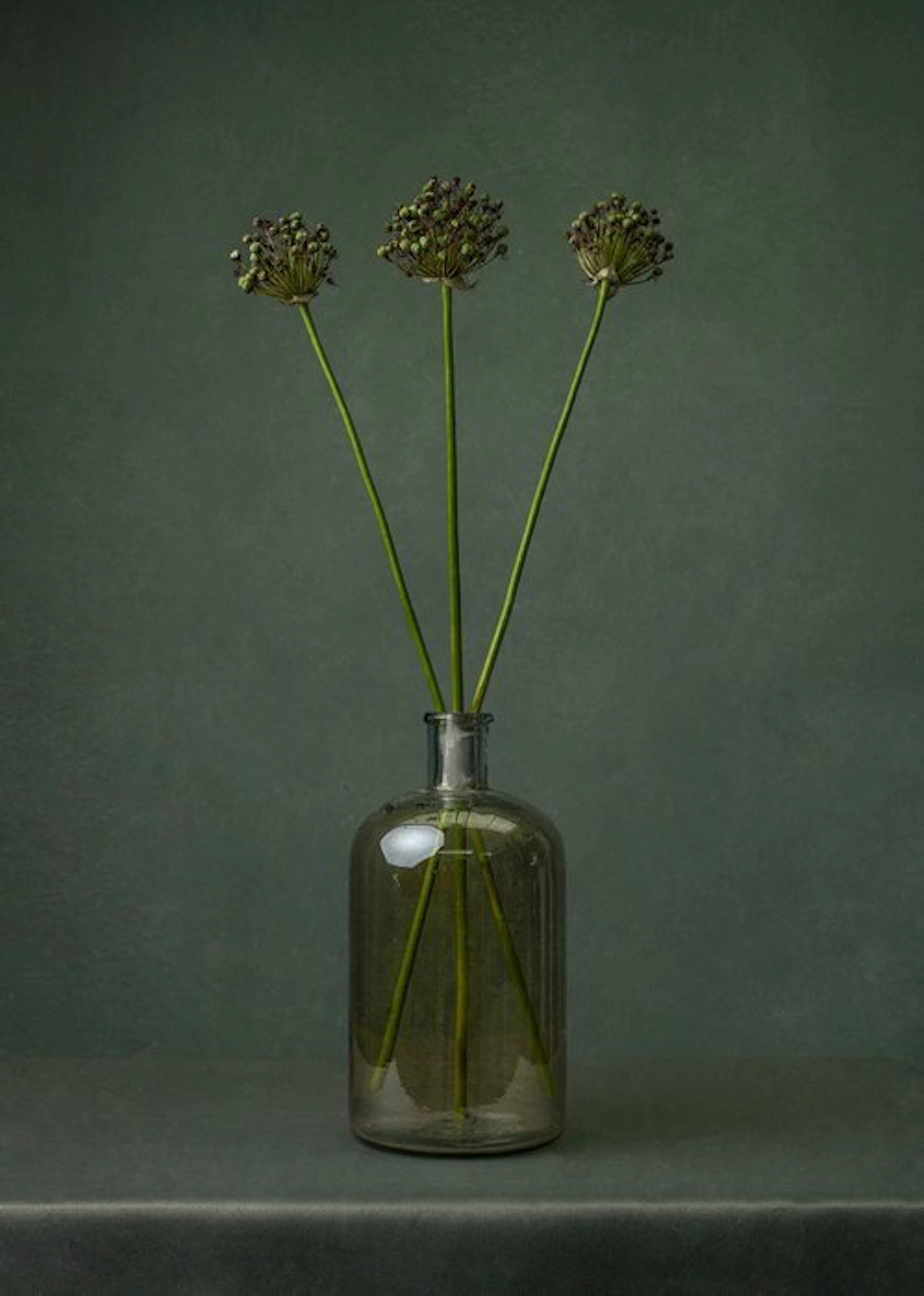 Tessa Posthuma de Boer - Allium