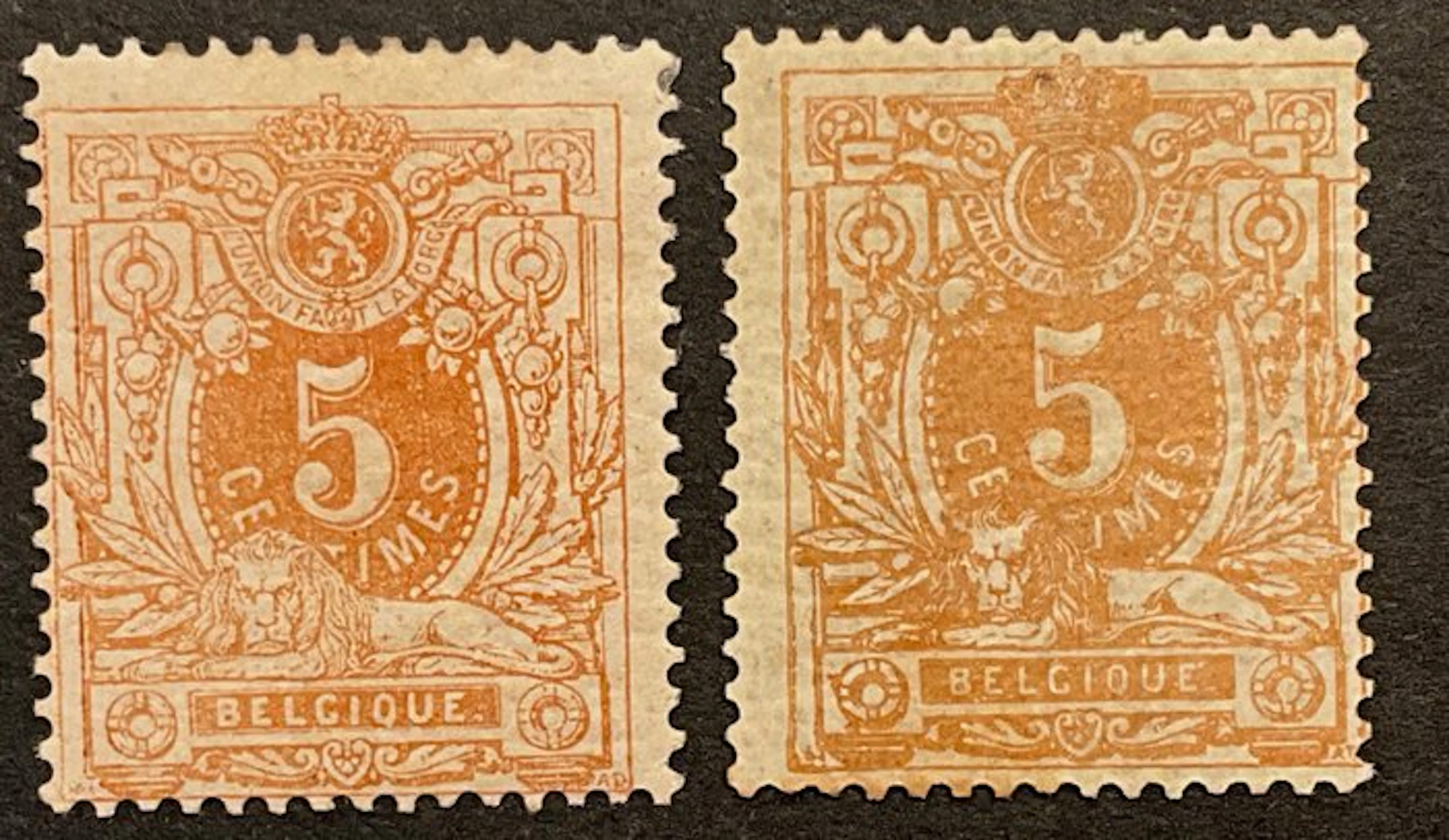 Belgium 1869/1883 - Lying lion - 5c Orange - In 2 distinct nuances - OBP/COB 28