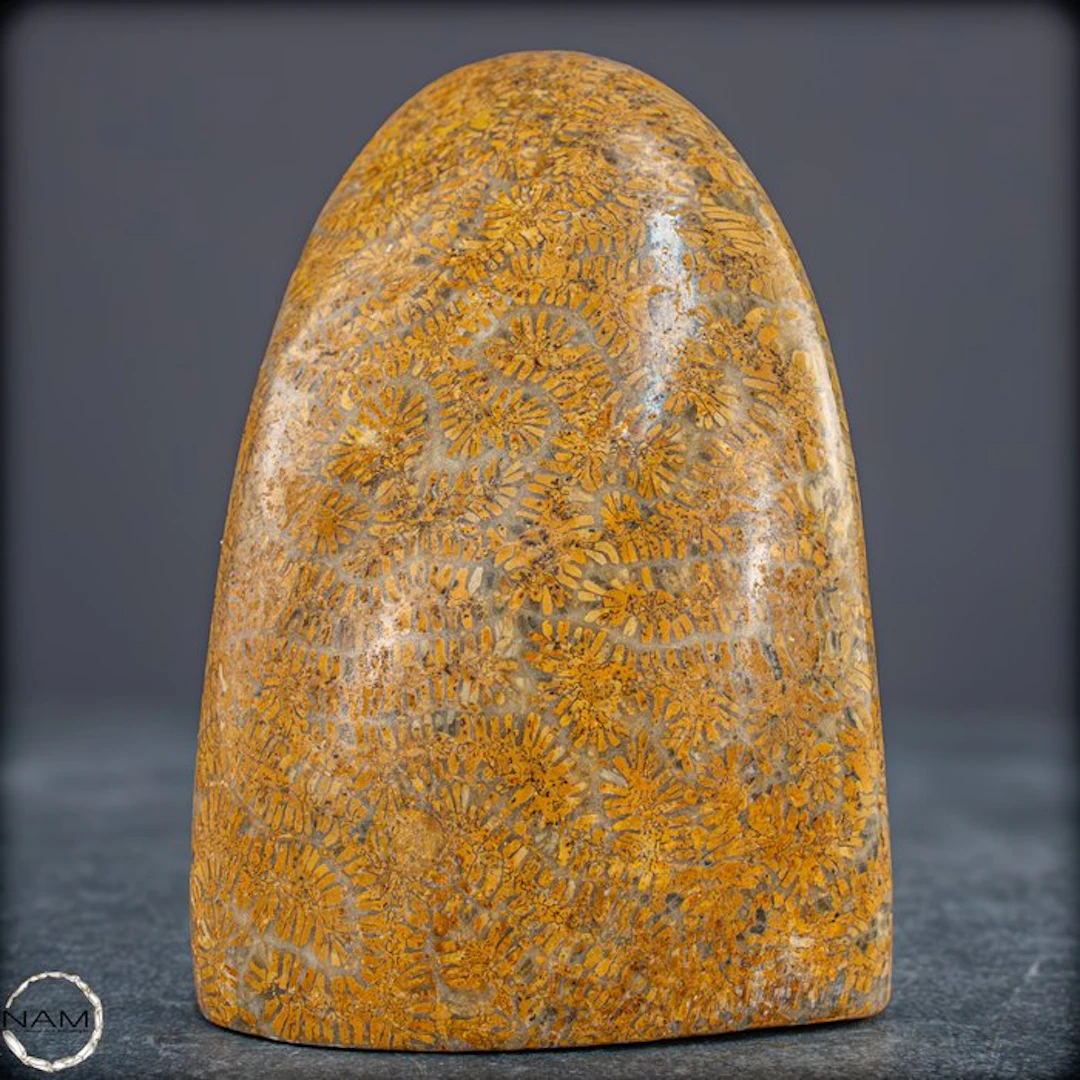 Extremely Rare Natural Fossil Coral Sphere, Australia- 541.58 g