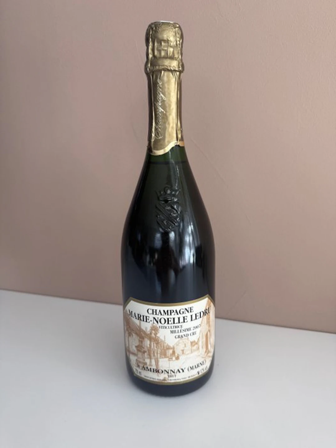 2007 Marie-Noëlle Ledru