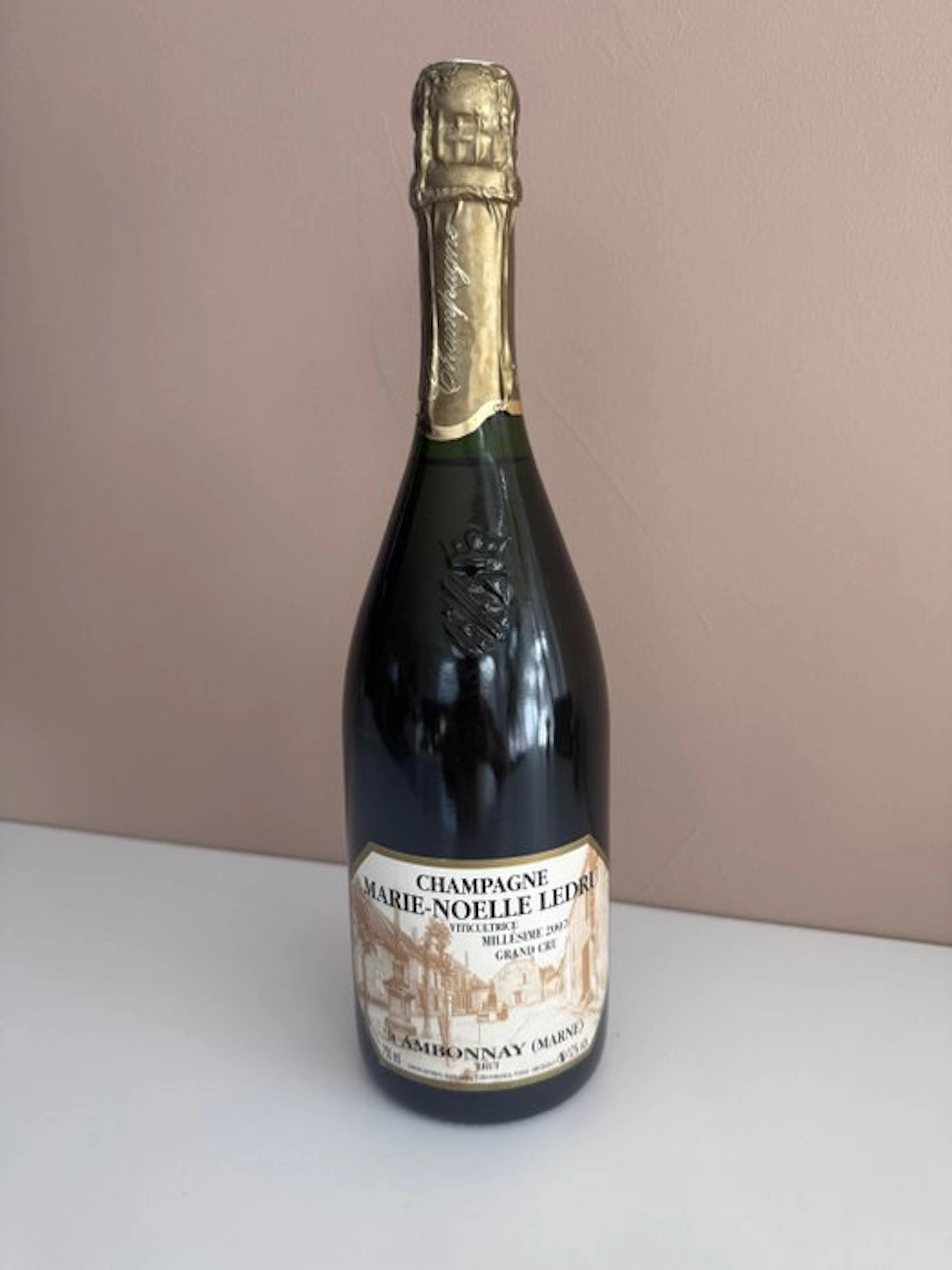 2007 Marie-Noëlle Ledru
