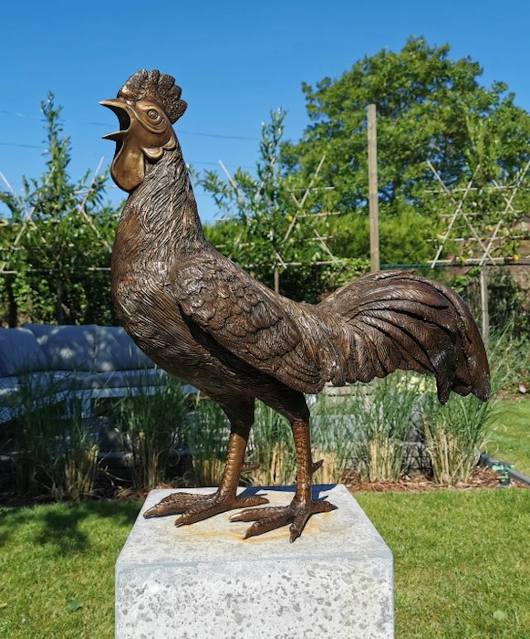 Sculpture, French rooster in bronze - 50 cm - Bronze