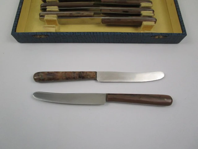 12 Obstmesser / ca. 19,7 cm - Cutlery set - Stainless steel / Bakelite handles