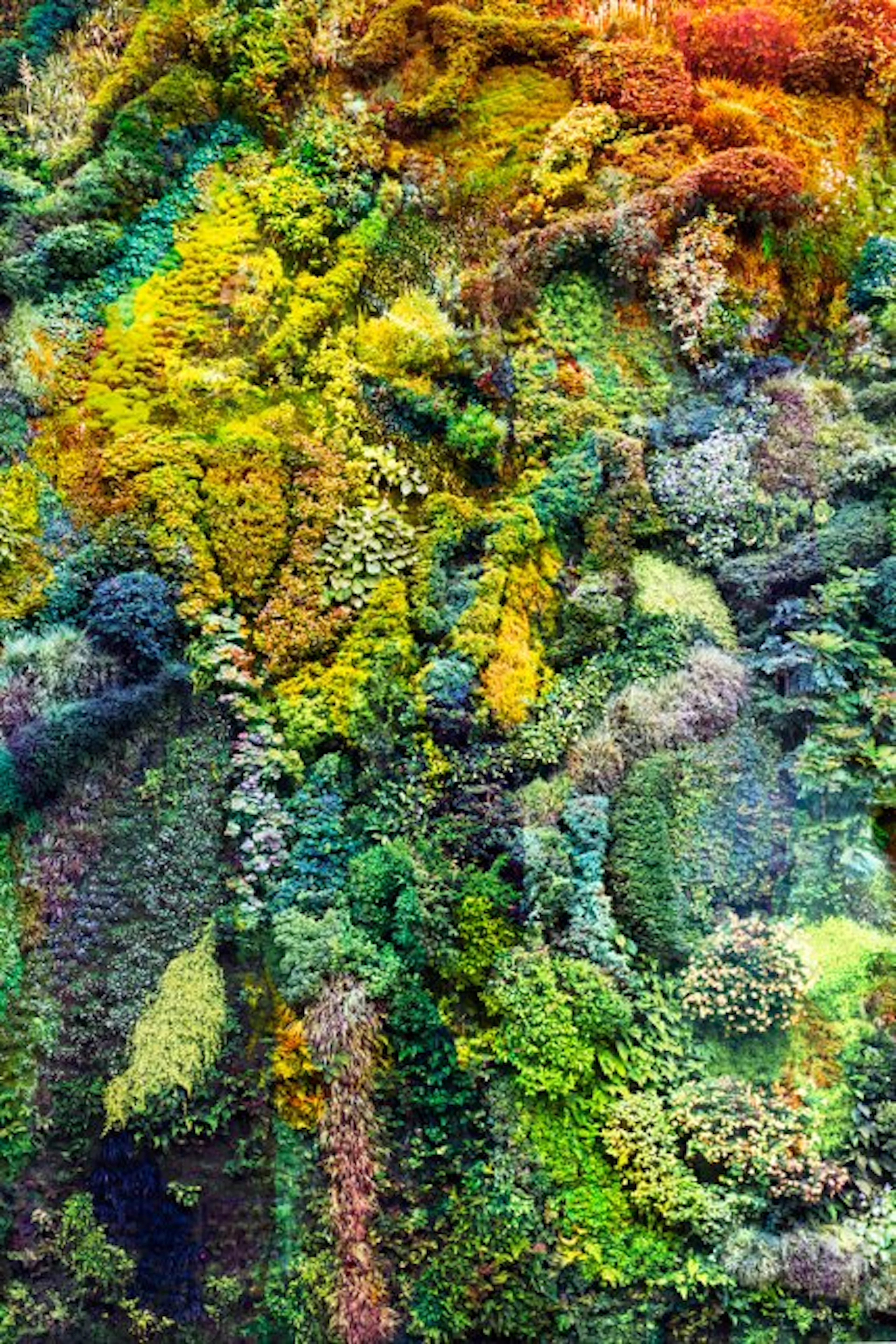 Viet Ha Tran - Wall of Nature XXIV