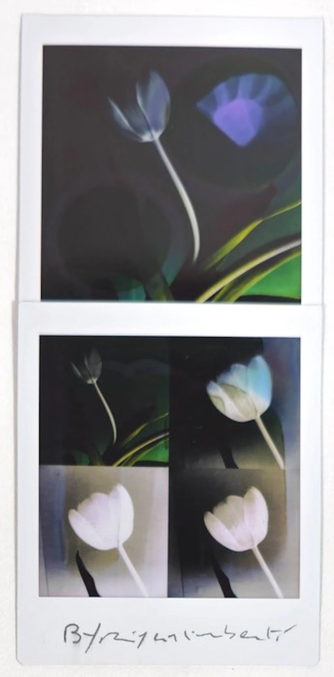 Maurizio Galimberti (1956–) - BiFlowers - 11584