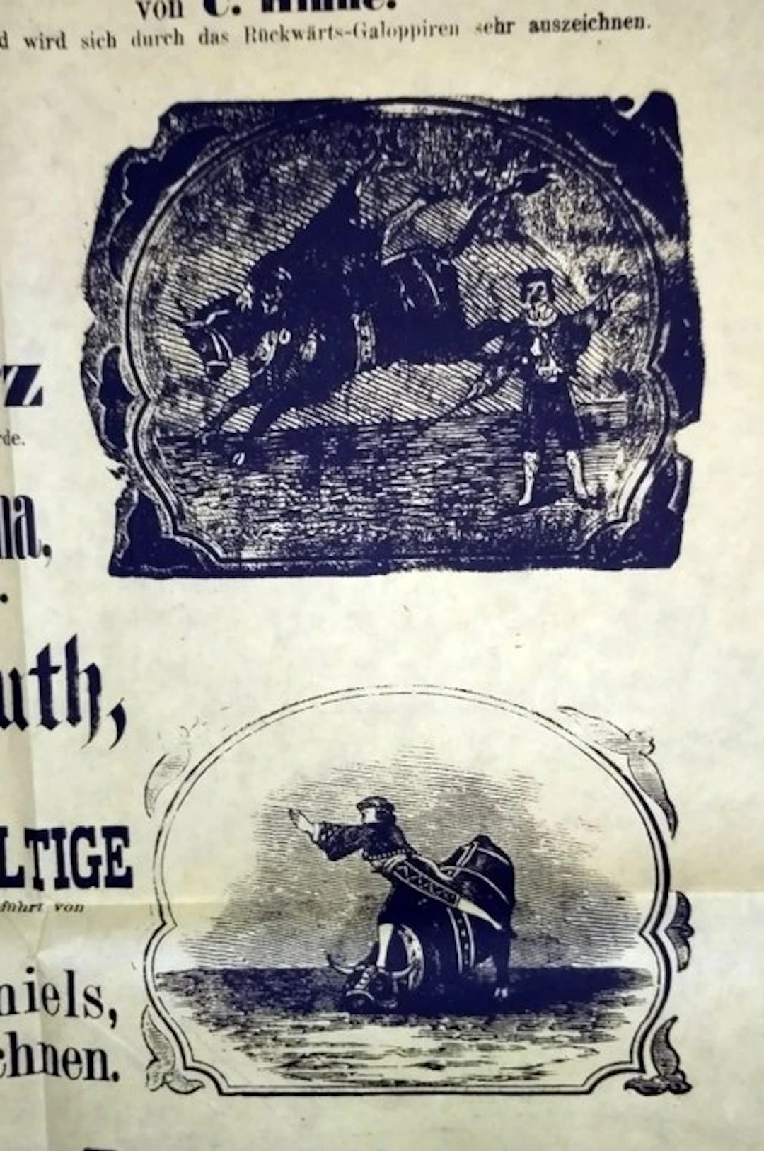 Das Weltwunder der berühmte amerikanische Bulle Don Juan - 1863