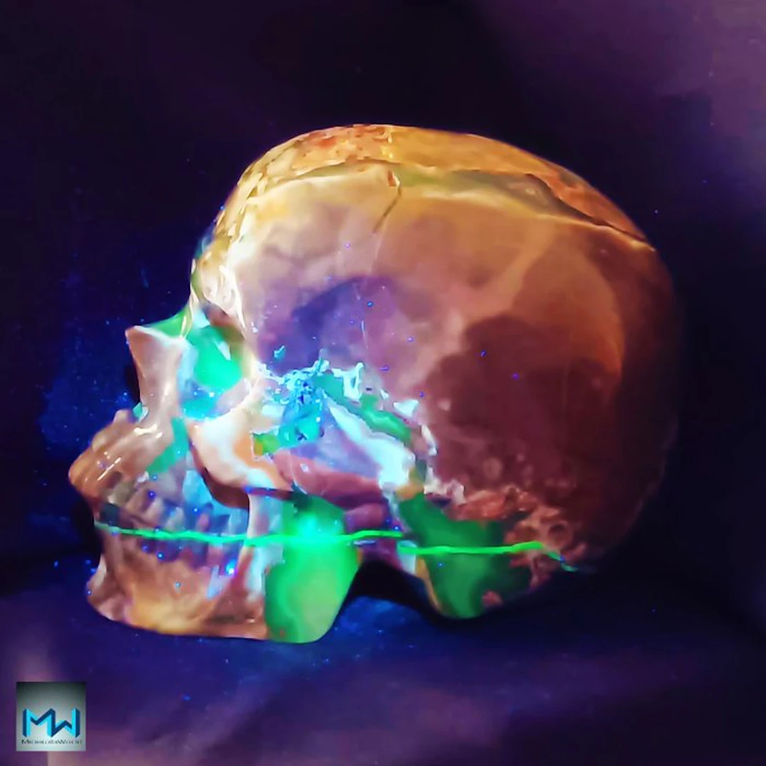 Fabulous 8-inch human skull