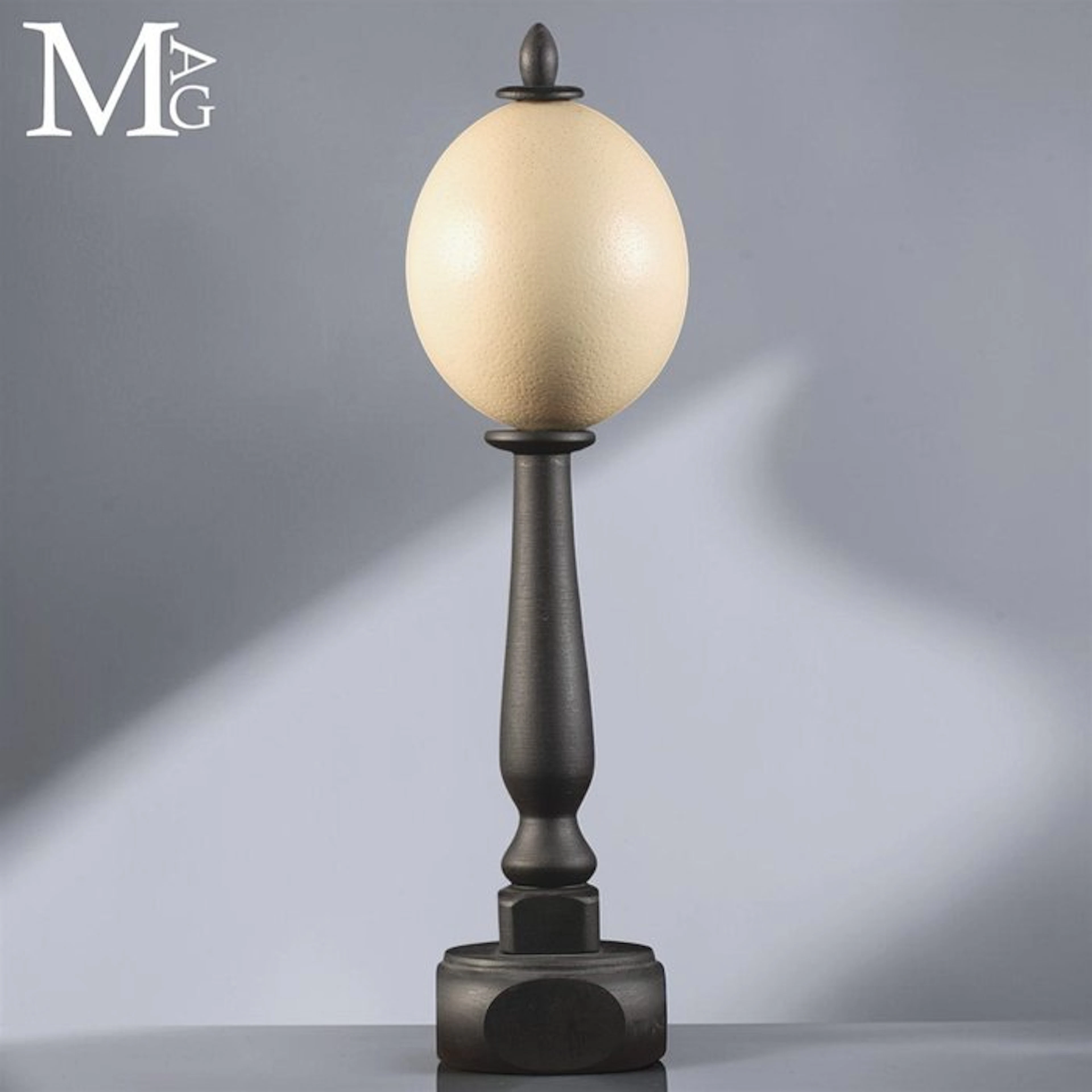Natural Ostrich Egg (Struthio camelus) Dark Wood Artistic...