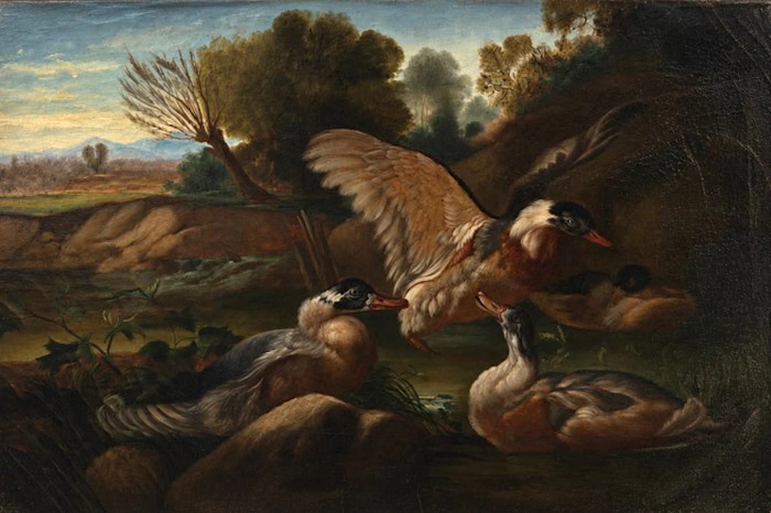 Giovanni Crivelli detto il Crivellino (XVII–XVIII)