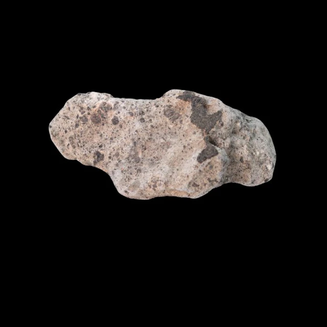 NWA Meteorite Achondrite (HED) Unclassified No Reserve Price - 14.3 g - (123)