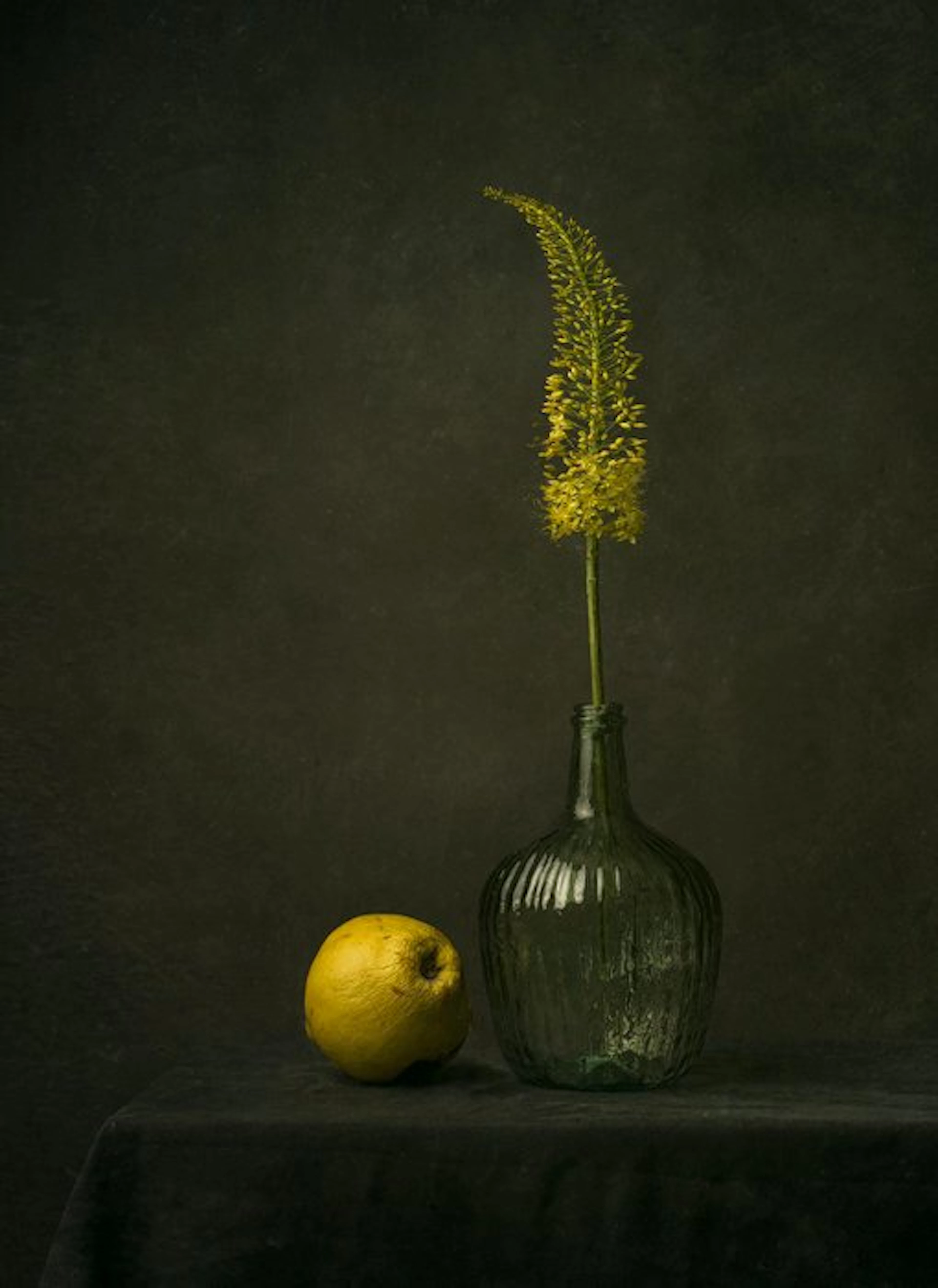 Tessa Posthuma de Boer - Quince&flower