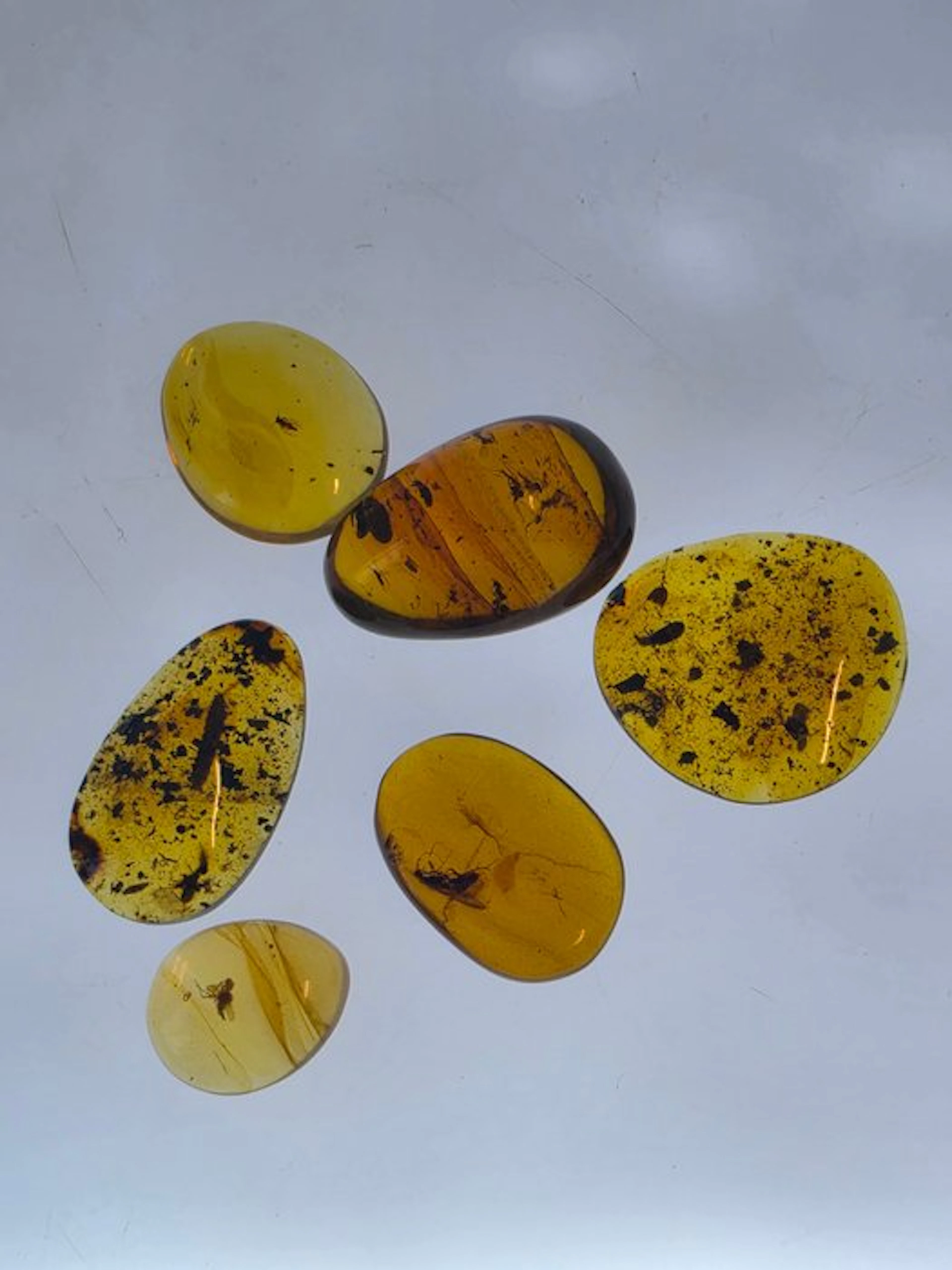 Burmese amber - Amber - Collection of 6 Natural Amber...