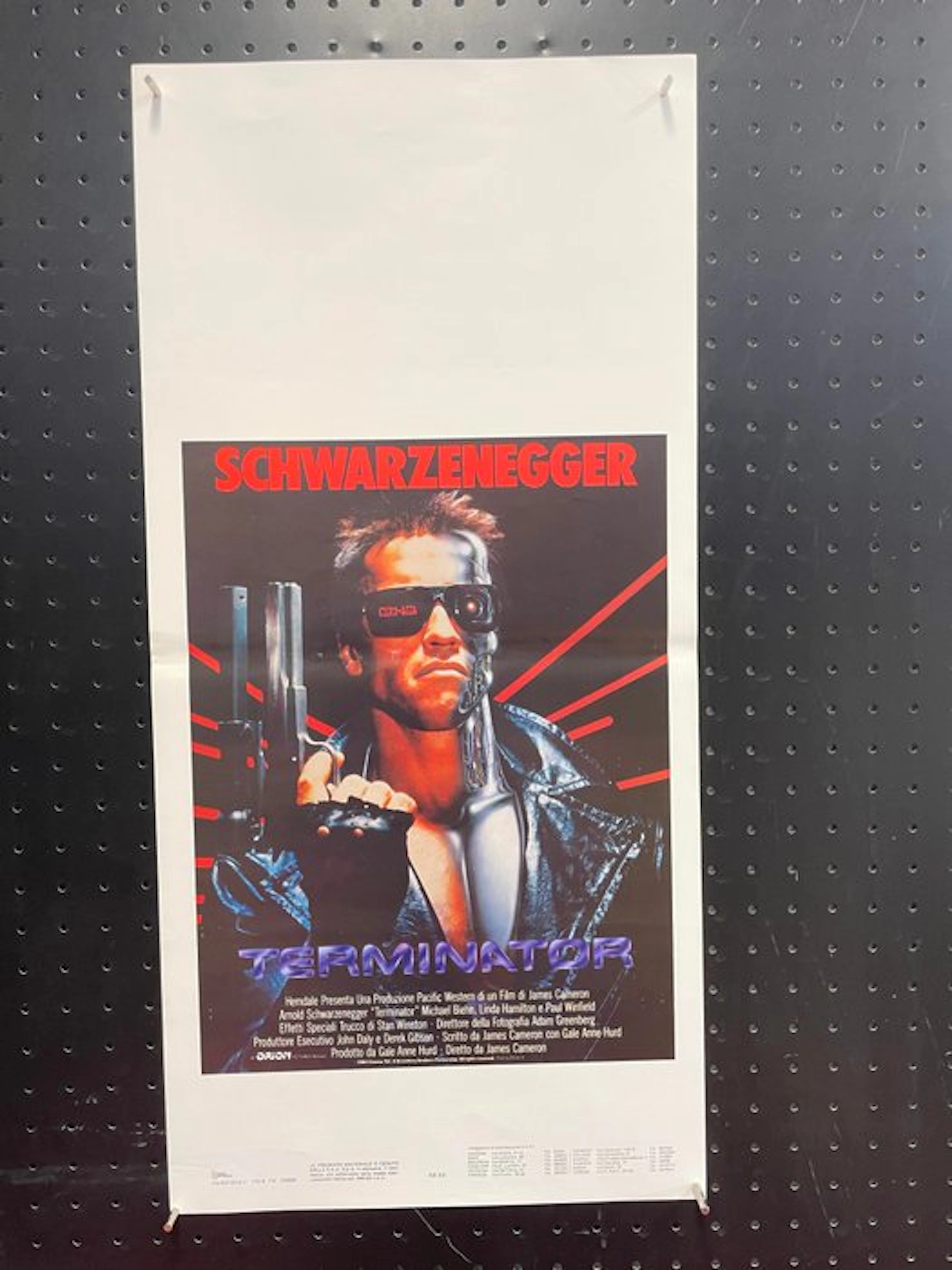 Arnold Schwarzenegger - Terminator
