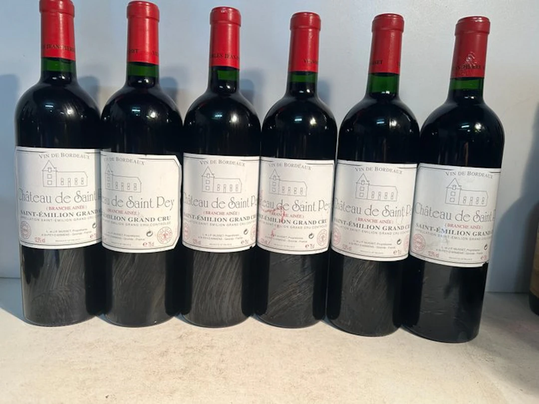 1999 Chateau Saint-Pey - Saint-Émilion Grand Cru - 6 Bottles (0.75L)