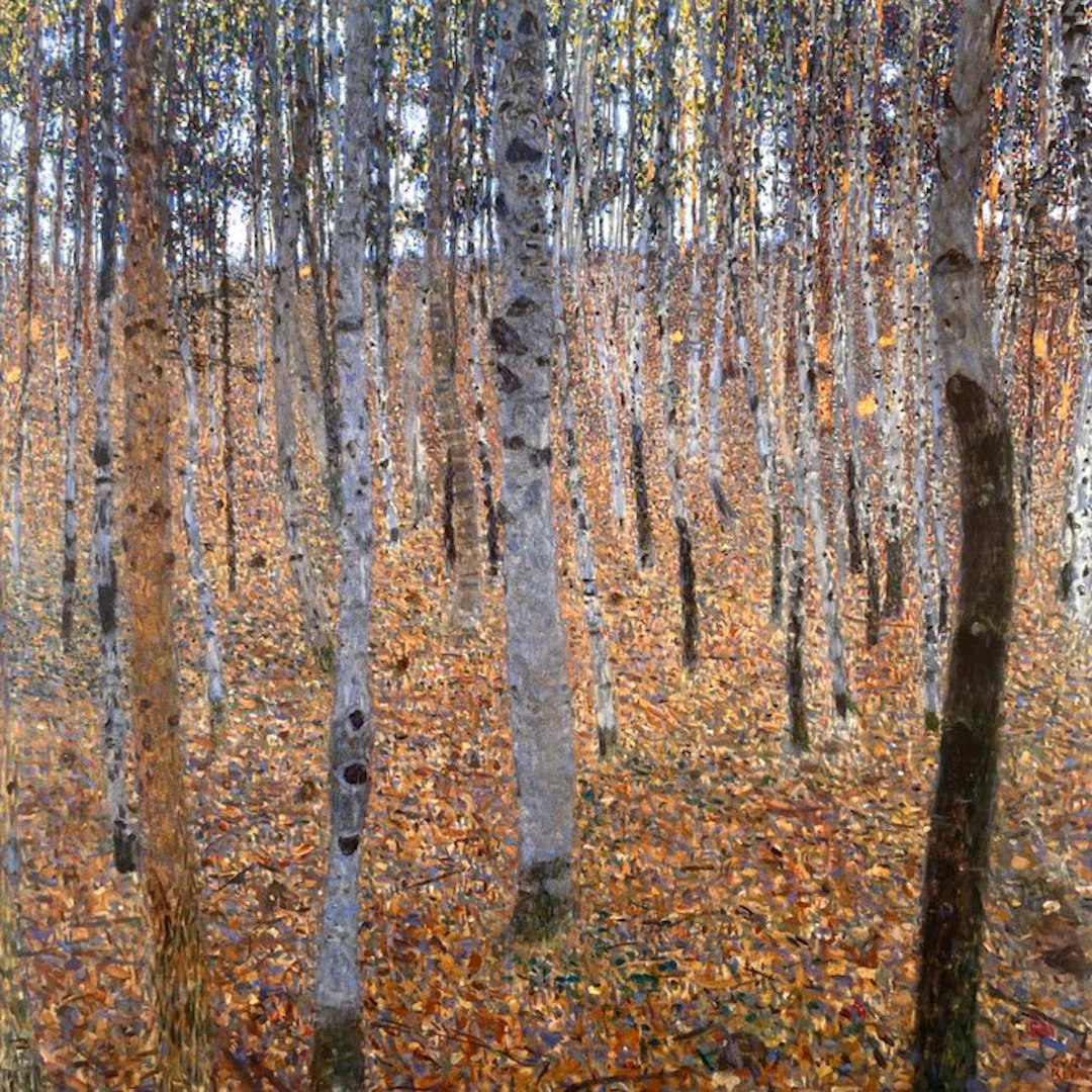 Gustav Klimt (after) - Beech Forest I - Fine art giclée - 40x39 -