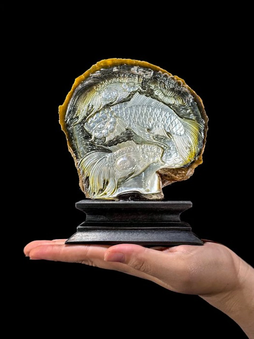 Intricately Engraved Mother of Pearl Shell - Exquisite...
