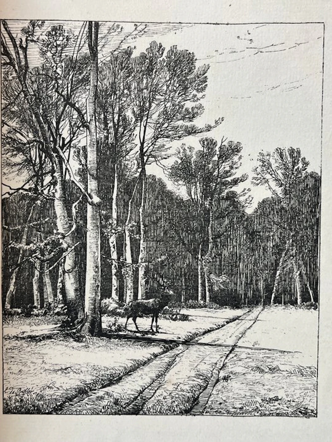 André Lemoyne; Léon de Bellée - Légendes des bois et...