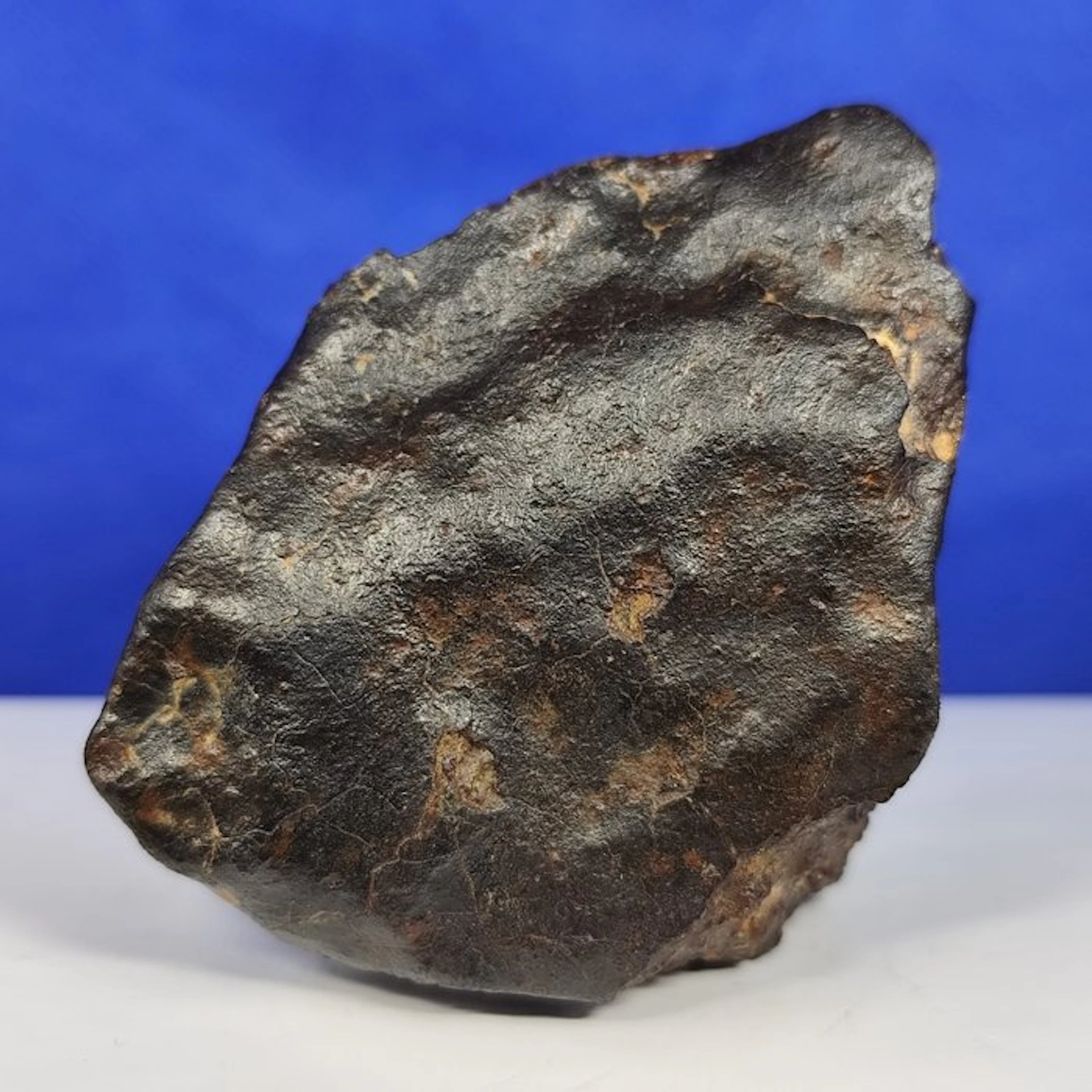 XL Chondrite METEORITE (Sahara