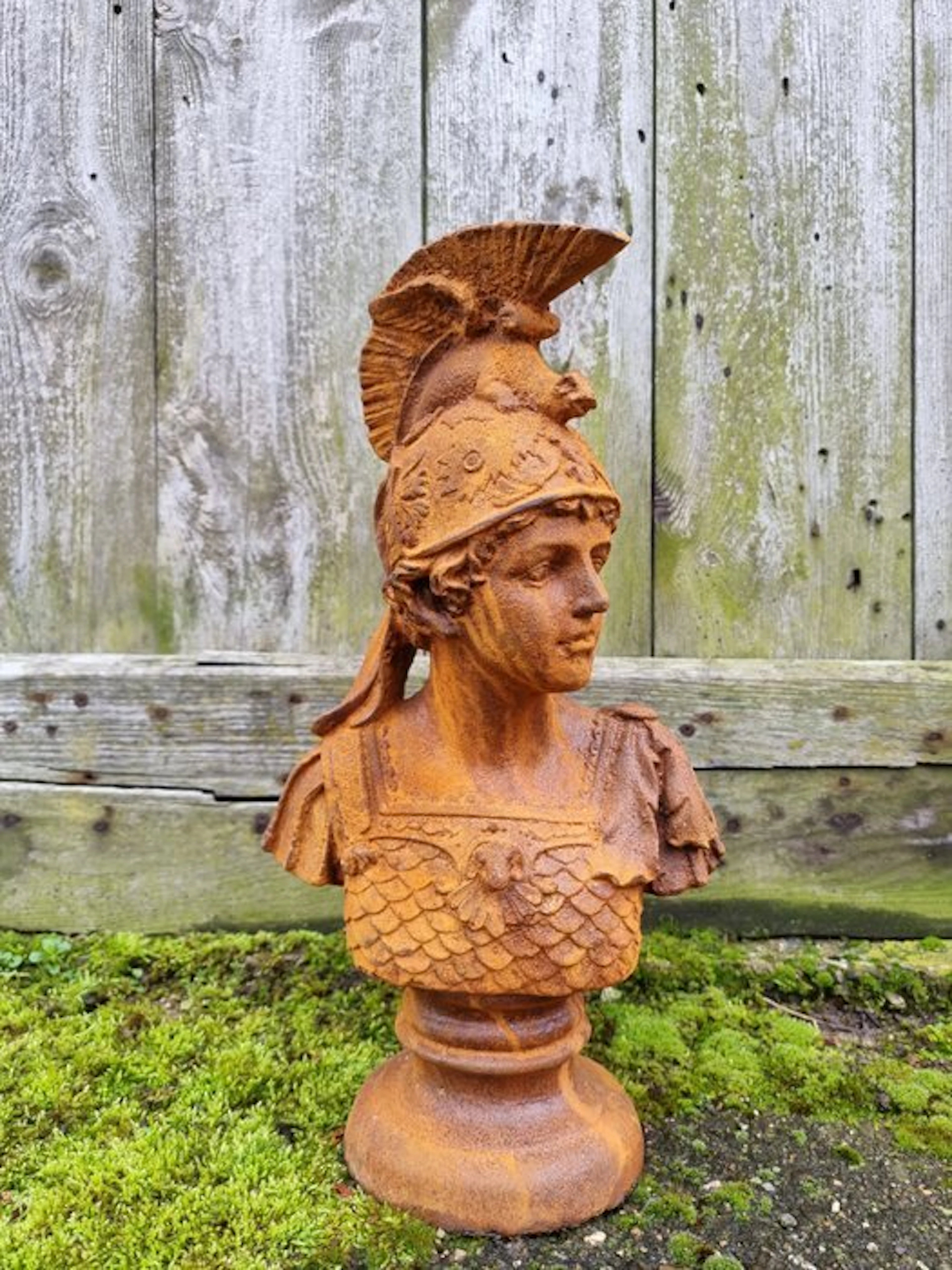 Bust, Buste, Buste van Minerva - 50 cm - IJzer - 50 cm - Iron
