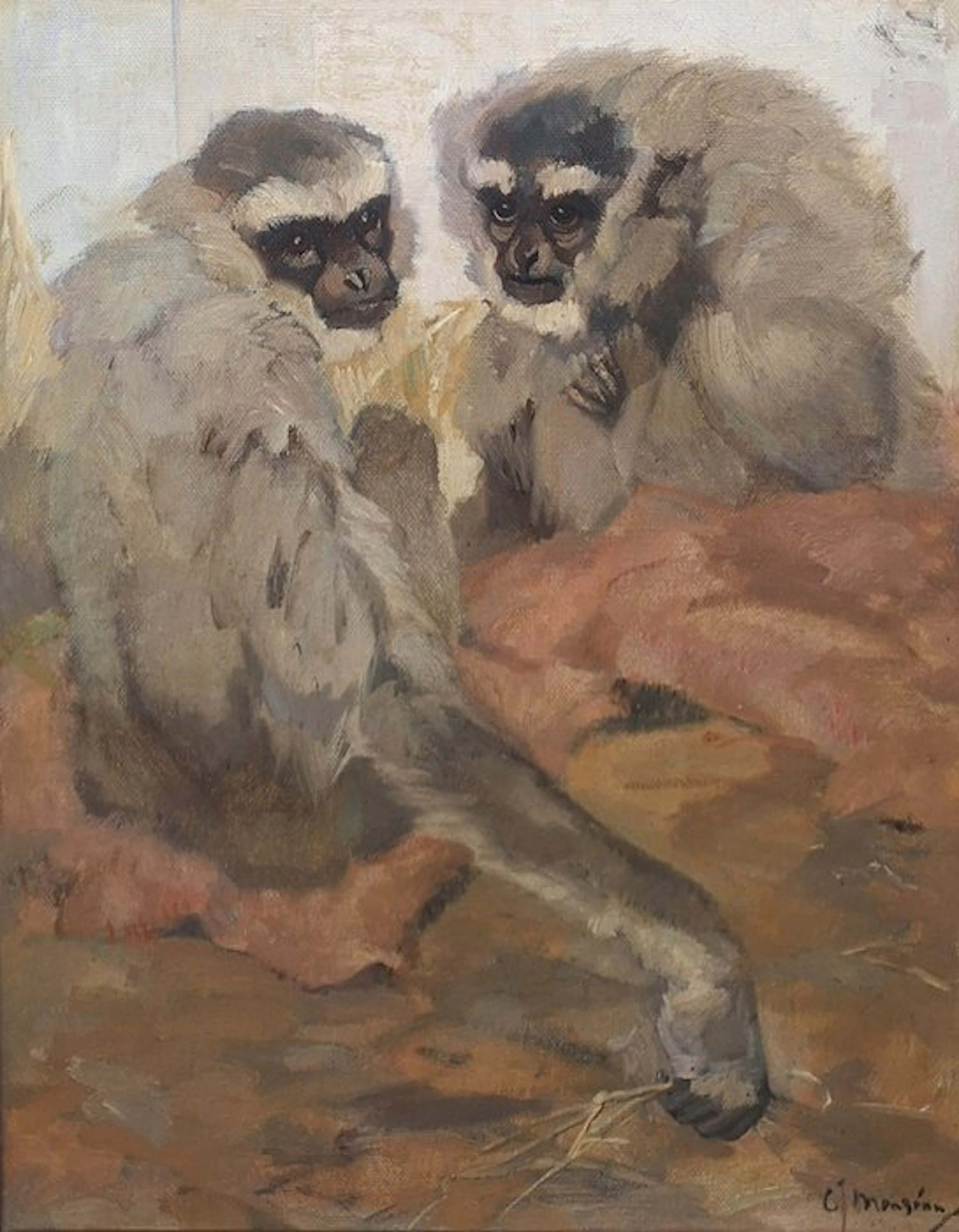 Cornelis Jan Mension (1882-1950) - Gibbons