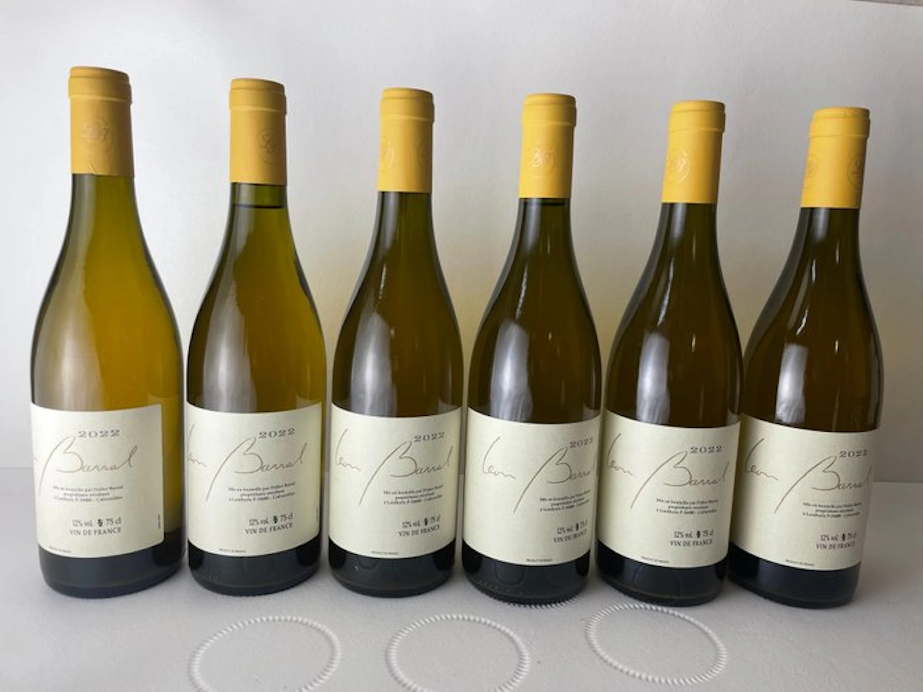 2022 Domaine Leon Barral - Faugères - 6 Bottles (0.75L)