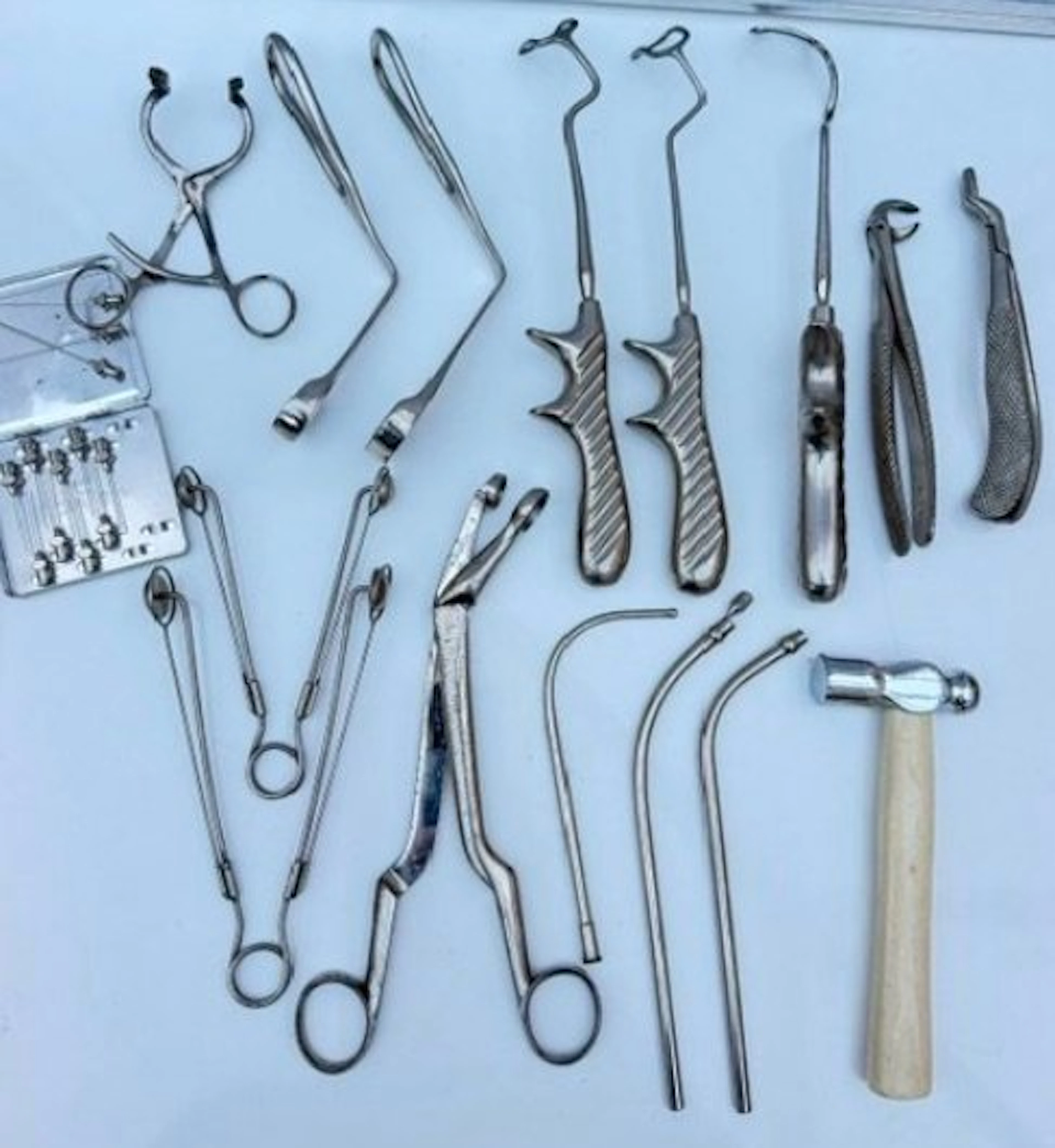 Anatomical model - Surgical stainless steel (SS)
