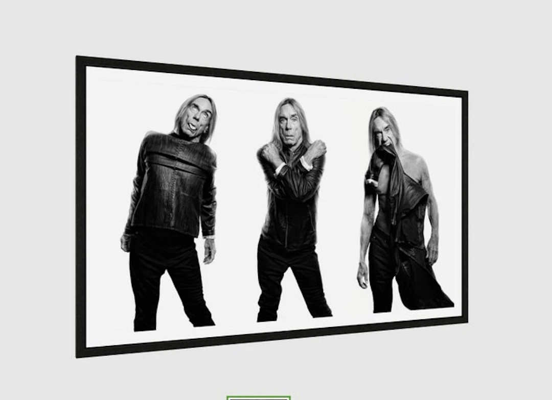 Ben Dauchez - Triptyque Iggy - XL